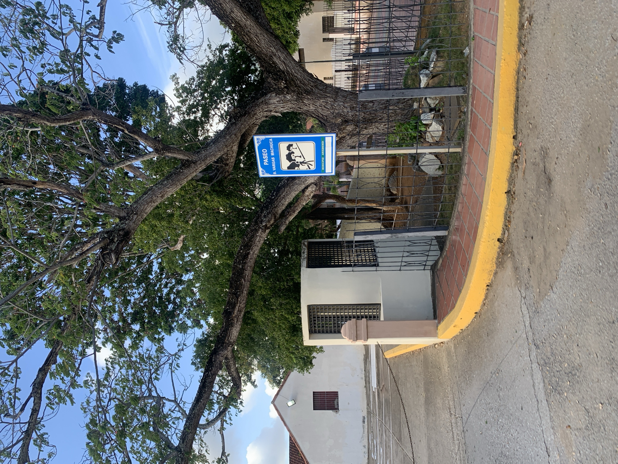 The image shows a street scene in La Asuncion, Venezuela, under a cloudy sky. A large, mature tree with a thick trunk and sprawling branches dominates the foreground, its leaves a vibrant green. To the right of the tree, a blue sign with white text reads "PASEO B. VARGAS MACHUCA" and "MUNICIPIO ARISMENDI." The sign also features a graphic of three silhouetted figures walking. A black metal fence borders the area around the sign and tree.
In the background, a white building with a red-tiled roof is visible on the left. It has a single red-trimmed window and a light fixture mounted on its exterior wall. Adjacent to this building, and to the right of the large tree, is a smaller white structure with grilled windows. A paved road with a yellow-painted curb curves through the scene. A metal chain runs along the left edge of the paved area, near the white building. The ground is a mixture of cracked asphalt and dirt. The overall impression is one of a public space within a town.