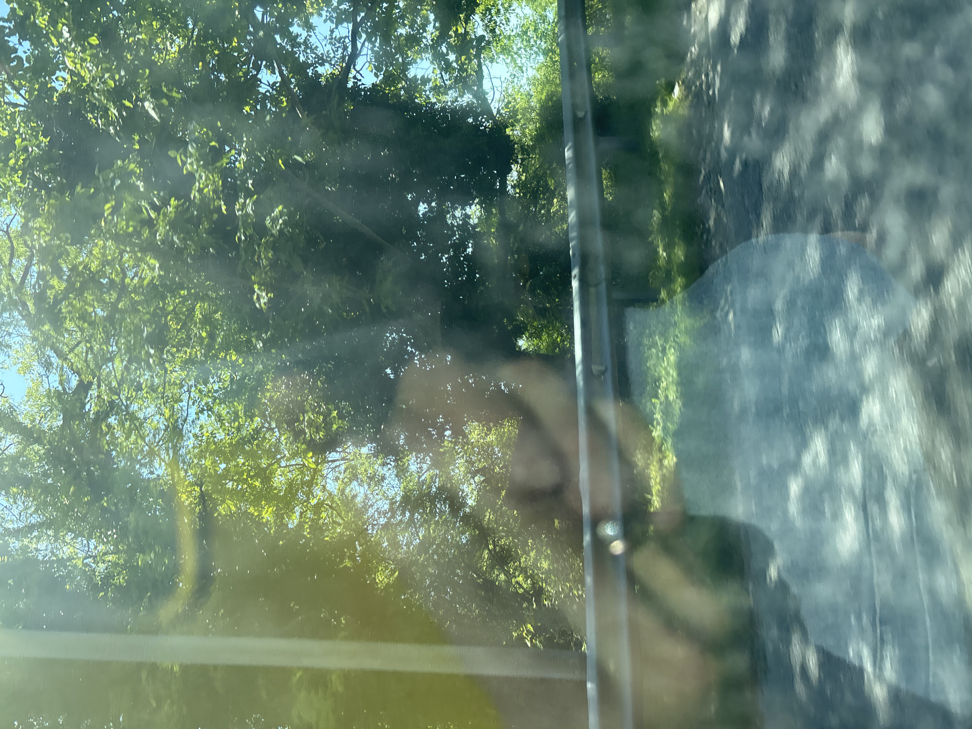This media file presents a sunlit view of a natural, tree-filled environment as seen through a highly reflective window, likely from inside a vehicle. The image is originally oriented vertically but depicts a horizontal scene.
The dominant features are dense green foliage and tree branches, illuminated by bright sunlight filtering through the leaves, revealing patches of clear blue sky. The sunlight creates strong highlights and subtle lens flares, suggesting a clear day.
Superimposed over this exterior scene are significant reflections from the interior of the vehicle. A blurred, translucent reflection of a human figure, possibly a head and shoulders, is visible towards the center-right of the image. A dark vertical strip, likely a car's A-pillar or window frame, runs down the right side of the frame, further indicating the view is from within a car. Below the tree line, a muted, greyish area with some texture might be a road or ground, also seen through the glass. The combination of the exterior view and interior reflections creates a layered, somewhat ethereal effect.
The activity captured is essentially observing the outdoor environment from a vehicle. The time of day appears to be bright daytime, under clear and sunny weather conditions. There is no visible text in the image. The location is Gwandra, Abkhazia, suggesting the verdant scenery is characteristic of this region.
