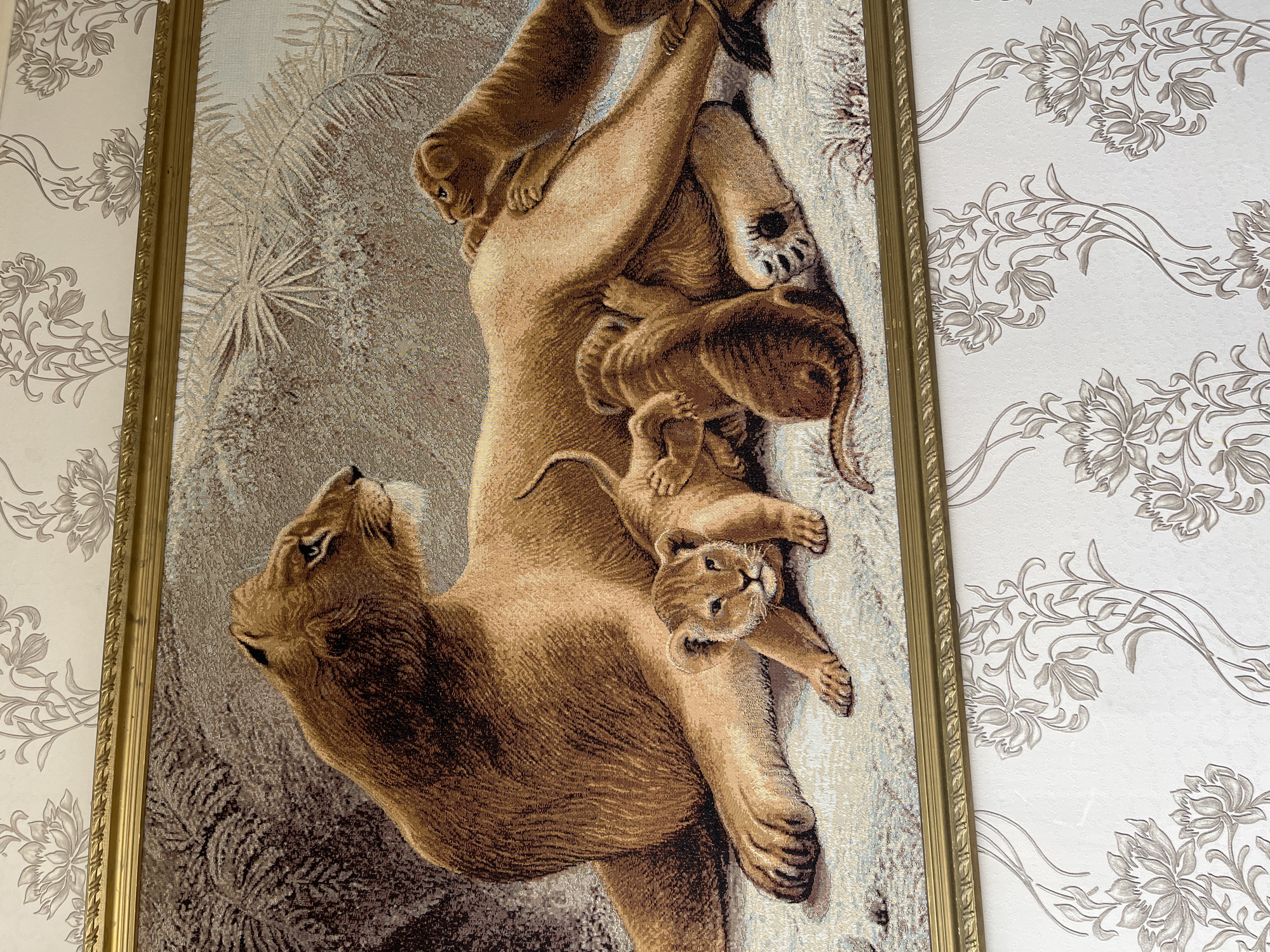 The image depicts a framed tapestry hanging on a wall with floral wallpaper. The tapestry features a lioness lying down with four lion cubs. One cub is in the foreground, looking directly at the viewer. The lioness is positioned to the left, resting her head. Two cubs are interacting with the lioness's body, and another cub is standing behind the lioness, looking to the right. The background of the tapestry suggests a natural, possibly savanna-like environment with sparse vegetation. The wallpaper has a repeating pattern of stylized flowers in muted tones. The frame of the tapestry is gold-colored and ornate. There is no identifiable information in the image to indicate its specific location within Kohtla-Järve linn, Estonia.