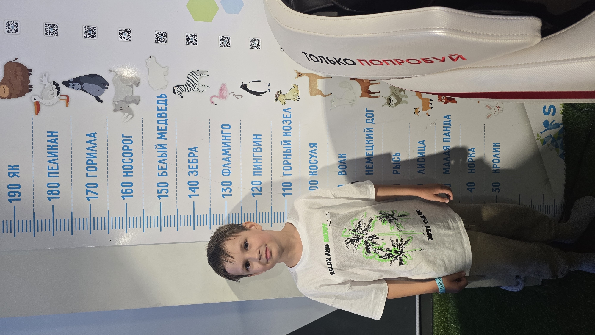 A young boy stands in an indoor setting against a white, vertical height chart in Izhevsk, Russia. The chart displays height measurements in centimeters, from 30 cm to 190 cm, with corresponding Russian animal names and cartoon illustrations. Visible animals include Yak (190 cm), Pelican (180 cm), Gorilla (170 cm), Rhinoceros (160 cm), Polar Bear (150 cm), Zebra (140 cm), Flamingo (130 cm), Penguin (120 cm), Mountain Goat (110 cm), Roe Deer (100 cm), Wolf, Great Dane, Lynx, Fox, Red Panda, Mink, and Rabbit (down to 30 cm). Small QR codes are positioned next to each animal illustration. The boy, estimated to be approximately 135 cm tall, wears a white t-shirt featuring "RELAX AND ENJOY ALL DAY" and "JUST CHILLING" text with green and black palm tree graphics, light brown sweatpants, and grey socks. A blue-green wristband is visible on his left wrist. To the right of the boy, a white upholstered object with red, vertically oriented Russian text "ТОЛЬКО ПОПРОБУЙ" ("JUST TRY IT") is partially visible. The floor is covered with artificial green turf.