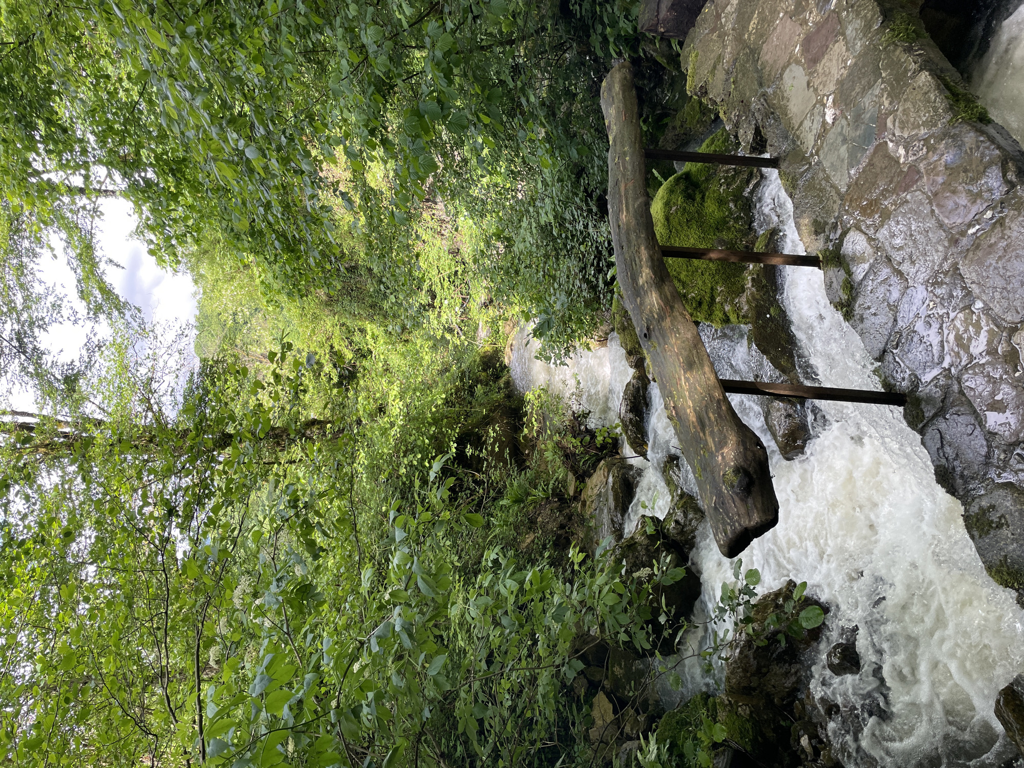 A downwards, tilted, and angled shot shows a fast-flowing, white-water stream in a green forest location in Solokh-Aul, Russia. The stream is running from top to bottom with the water looking turbulent with several rocks and boulders causing ripples. The stream is running under a rustic, makeshift wooden bridge structure made of a thick tree trunk and three support struts. The bridge looks aged with moss on the rocks. The forest is lush and green with trees and bushes lining the stream. The sky is visible through the tree canopy and is lightly overcast.