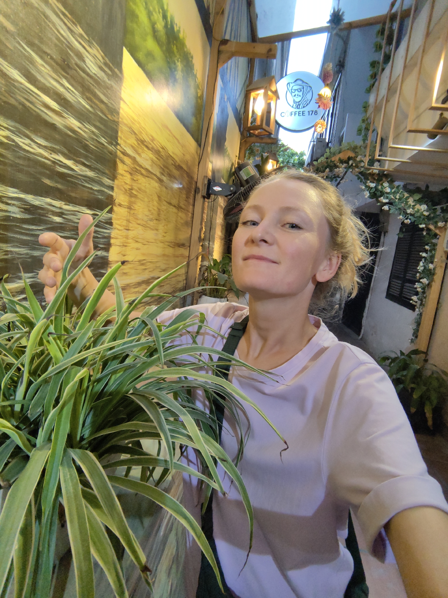 In a vibrant, illuminated alleyway, likely in Hanoi, Vietnam, a young Caucasian woman with blonde hair captures a selfie. She is positioned slightly to the right, looking directly at the camera with a slight, pleasant smile and a relaxed expression. Her blonde hair is pulled back loosely, and she wears a light purple t-shirt with a dark green strap visible over her shoulder, possibly from a bag.
In the foreground and partially obscuring her left arm, is a large, healthy potted plant, resembling a spider plant, with long, variegated green and white leaves. Her right hand is visible behind the plant, fingers splayed, as if she is either holding the plant or gesturing.
The background features a narrow passage adorned with various decorative elements. To the left, a large mural depicts a textured, wavy landscape, possibly water, in shades of brown and yellow, illuminated by warm light. On the right, overhead, a circular white sign glows brightly, displaying a stylized cartoon monkey head and the text "COFFEE 178." Nearby, several warm-toned lanterns hang, casting a cozy glow. Further back, architectural details include wooden beams, a window with closed dark shutters, and artificial green foliage with small white flowers climbing along structures, creating a charming, inviting atmosphere. The warm lighting suggests the photo was taken in the evening or at night.