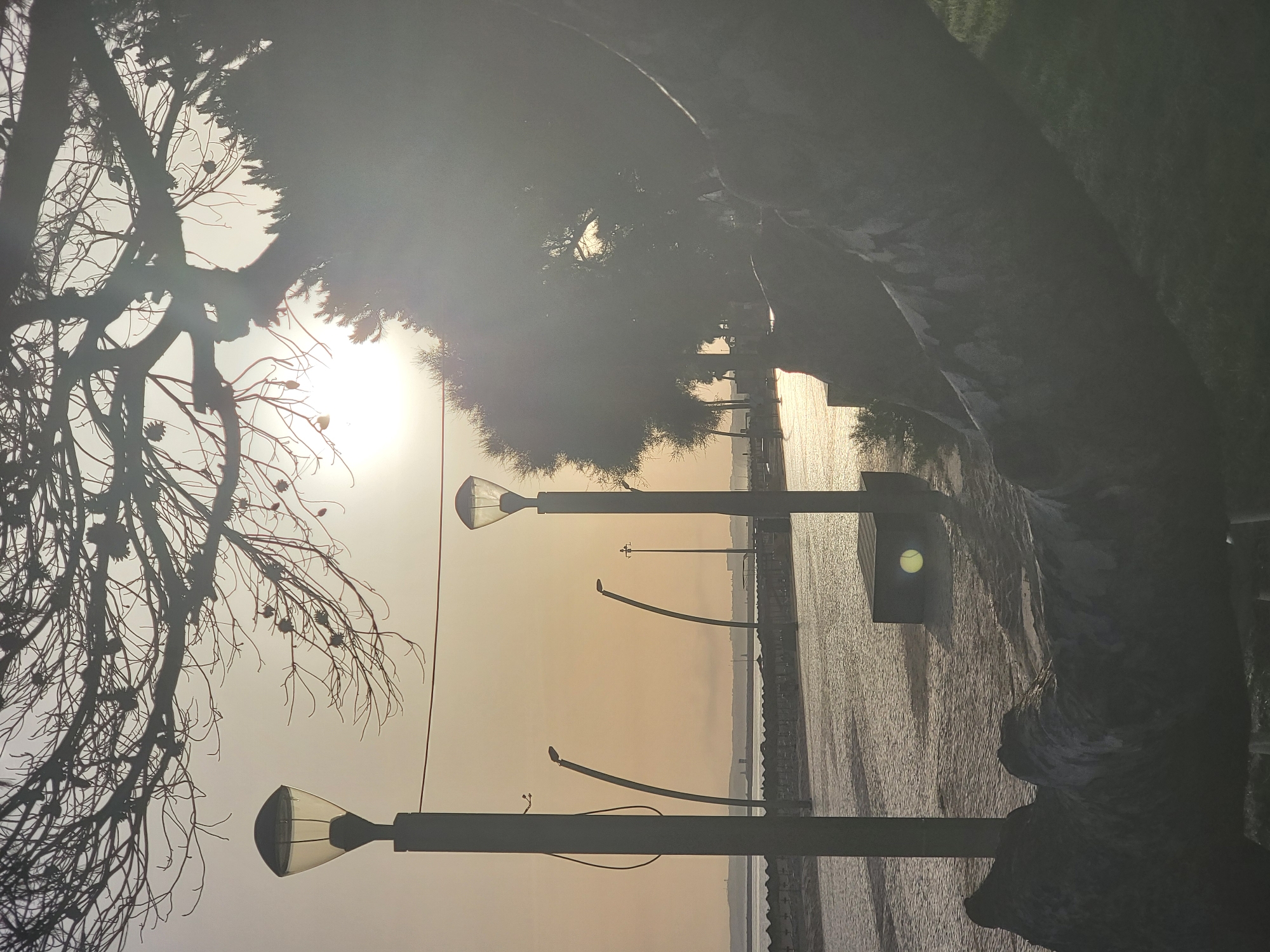 This image depicts a coastal scene in Quarteira, Portugal, likely during sunset or sunrise due to the warm, hazy light. In the foreground, a large, gnarled tree trunk lies horizontally, partially obscuring the view. Two lampposts with glowing heads stand tall on a paved walkway. Beyond the walkway, a body of water, possibly the Atlantic Ocean, shimmers with reflected light. A breakwater or seawall stretches across the middle ground, dotted with what appear to be beach umbrellas or structures. In the distance, the Quarteira coastline is visible, with some buildings and a lighthouse. The overall atmosphere is serene and tranquil, with the natural elements of the tree, water, and sky complementing the man-made structures.