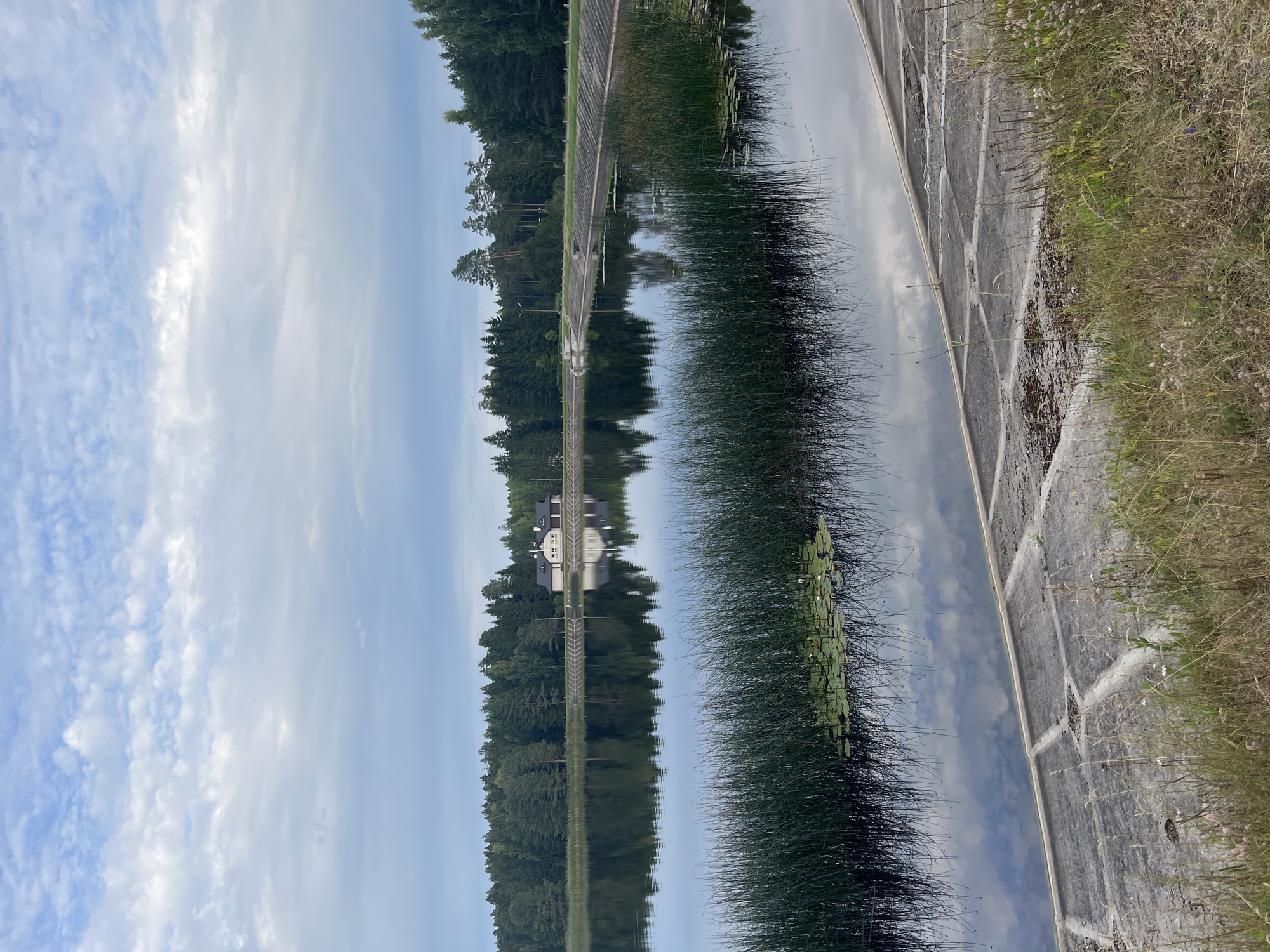 The image depicts a tranquil scene at the Raudoja Reservoir in Raudoja, Estonia. A body of calm water, reflecting the overcast sky and a dense forest lining the far bank, dominates the midground. In the distance, a modern white house with a dark roof and a prominent chimney sits amidst the trees. The foreground features a concrete embankment with a geometric pattern, transitioning into a grassy area with various dry grasses and a few small wildflowers. Reeds and water lilies are visible in the shallow water near the embankment. The overall atmosphere is serene and natural.