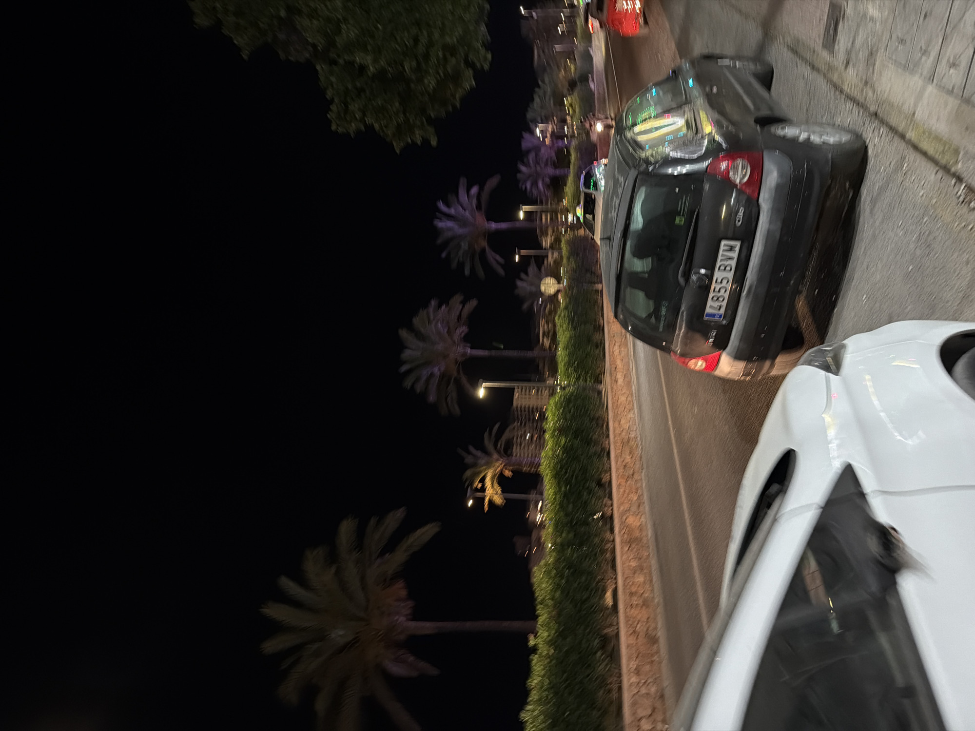 The image depicts a nighttime street scene in Sant Antoni De Portmany, Spain. In the foreground, the rear of a dark-colored hatchback car is visible, with its license plate reading "4855 BVW". To the left, the front of a white car is partially visible, obscuring the road ahead. The street is lined with palm trees and a thick, green hedge, with a stone retaining wall beneath. In the background, buildings are illuminated, and more palm trees are visible under streetlights that cast purple and yellow glows. The night sky is dark and clear. The scene appears to be a street adjacent to a coastal area, given the presence of palm trees and the likely resort town setting.