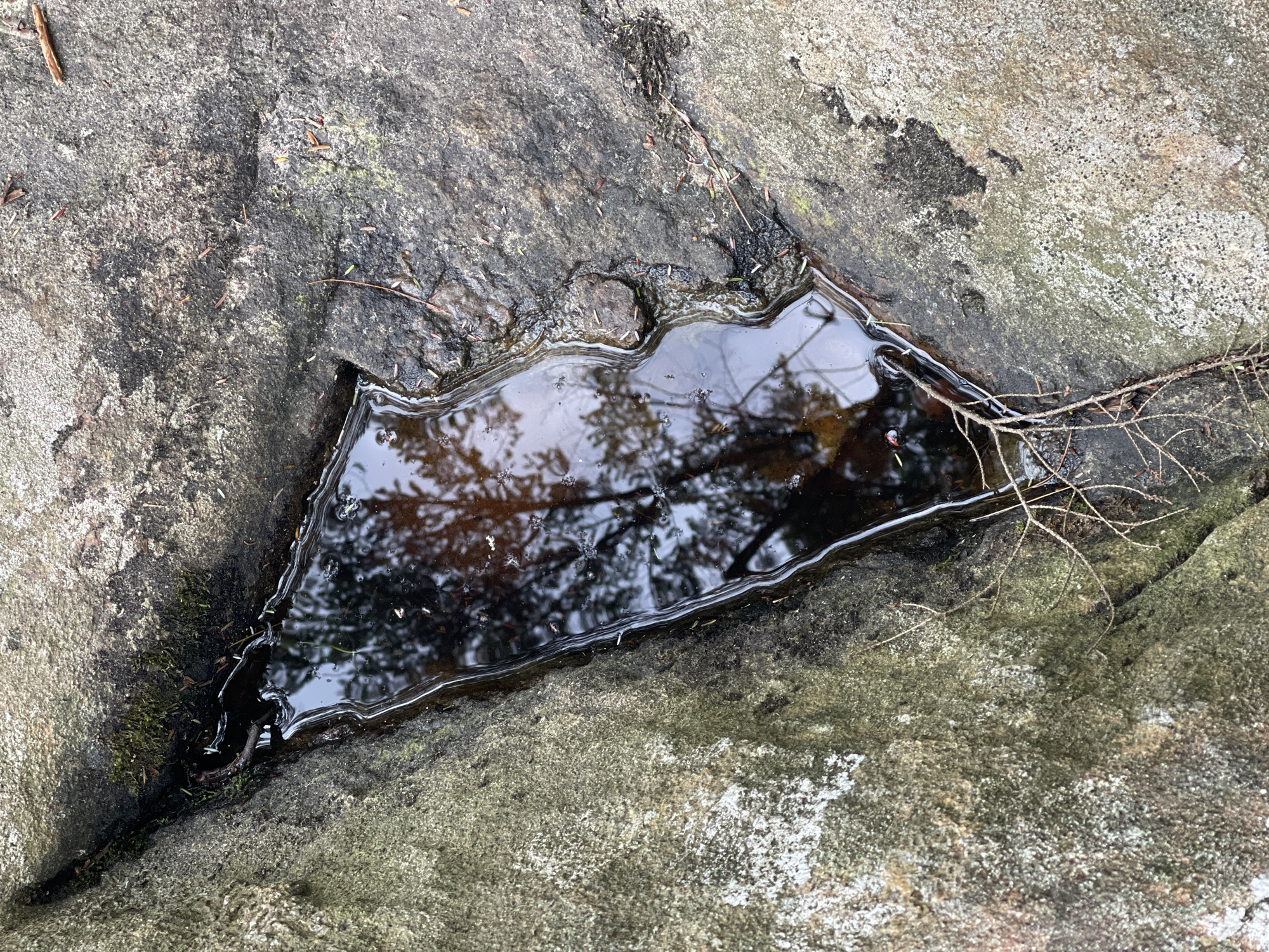 The image shows a close-up view of a small, irregularly shaped puddle of dark water nestled in a crevice between two large, rough-textured rocks. The rocks are weathered and appear to be covered in patches of moss and lichen, with some dry pine needles and small twigs scattered on their surfaces. The water in the puddle is still and reflects the branches of a nearby tree and the sky above, which is cloudy and light gray. The overall scene suggests an outdoor, natural environment, likely in a wooded or rocky area. There are no people or animals visible in the image. The location is stated to be the Village of Lyons Falls, United States of America, but this specific scene is not identifiable as a particular landmark within the village without further context.