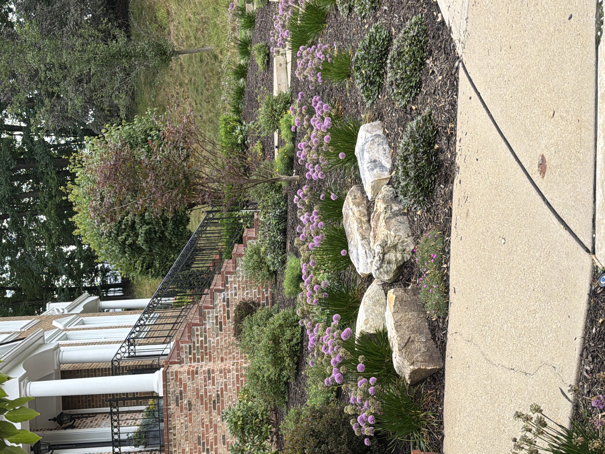 The image depicts a residential property in Wexford, United States of America, featuring a brick house with white columns and a sloped landscape. The foreground shows a cracked concrete walkway adjacent to a garden bed. The garden bed is mulched and contains several large rocks, clusters of purple allium flowers, and various green shrubs. A black metal railing lines a brick staircase leading up to the house's entrance, which is adorned with white columns and windows. The background consists of a grassy slope with trees and foliage, suggesting a suburban or semi-rural setting. No people are visible in the image.