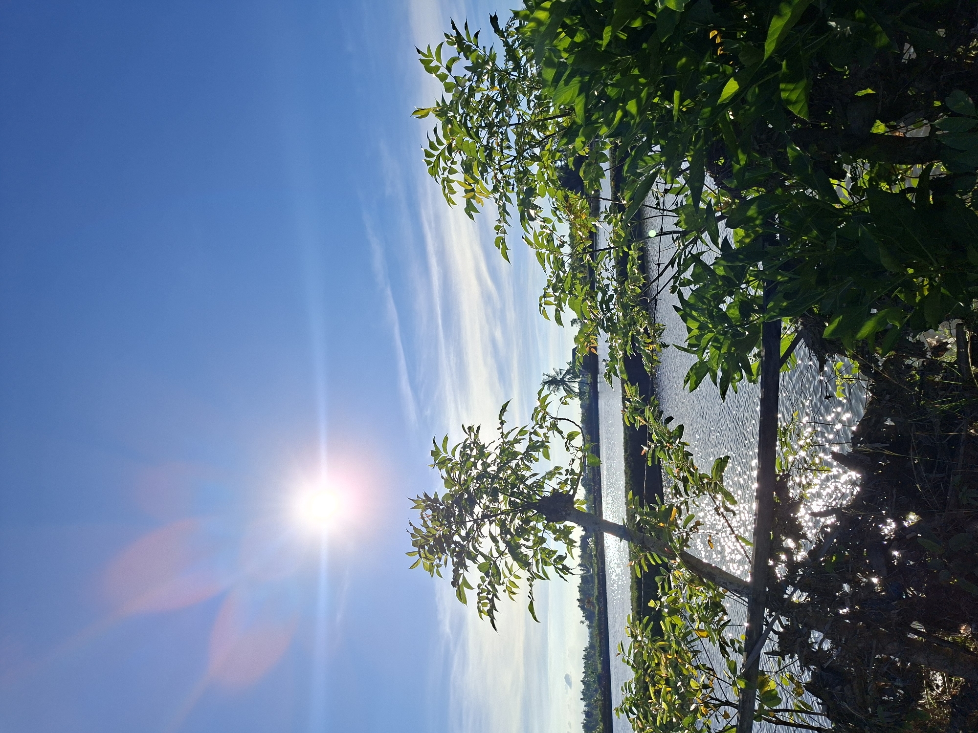 The image presents a sunlit waterscape near Dayahbaro, Indonesia. The sky is a bright blue with thin, stretched clouds, dominated by a radiating sun low in the frame. To the right, leafy foliage overhangs the water's edge, casting dappled shadows and obscuring parts of the shimmering water surface. Sunlight reflects intensely off the water, creating bright, glinting patterns. A vague suggestion of the far bank is visible through the haze. The orientation of the image is rotated to appear vertical.