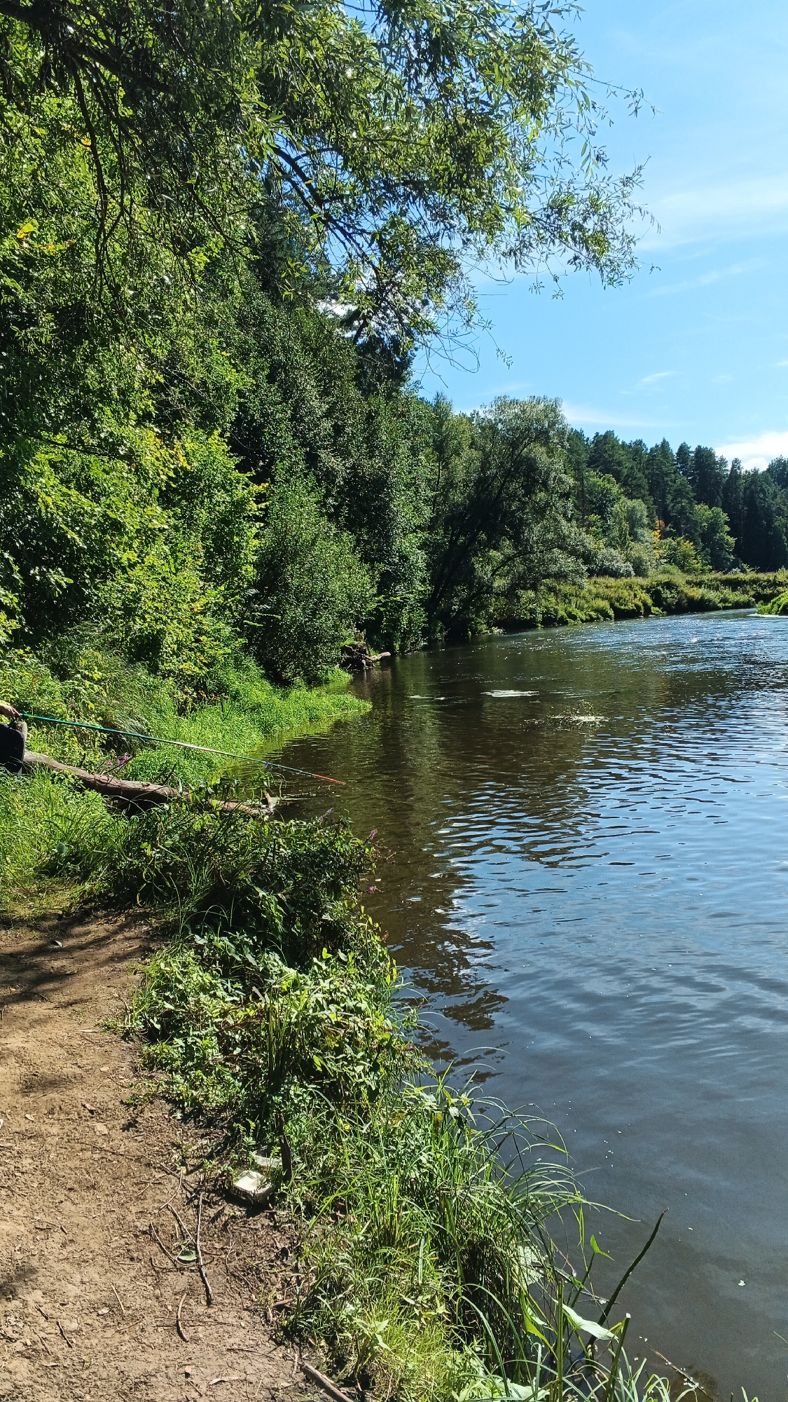 The image depicts a tranquil riverside scene on a sunny day. A dirt path runs along the left bank of a wide, dark river, bordered by lush green vegetation. Several fishing rods are set up on the bank, suggesting fishing activity. The river itself is calm, with ripples on its surface reflecting the bright blue sky and scattered white clouds. The opposite bank is heavily wooded with dense green trees, extending as far as the eye can see. The overall atmosphere is peaceful and natural, characteristic of the Russian countryside, specifically in the vicinity of Timeevo.