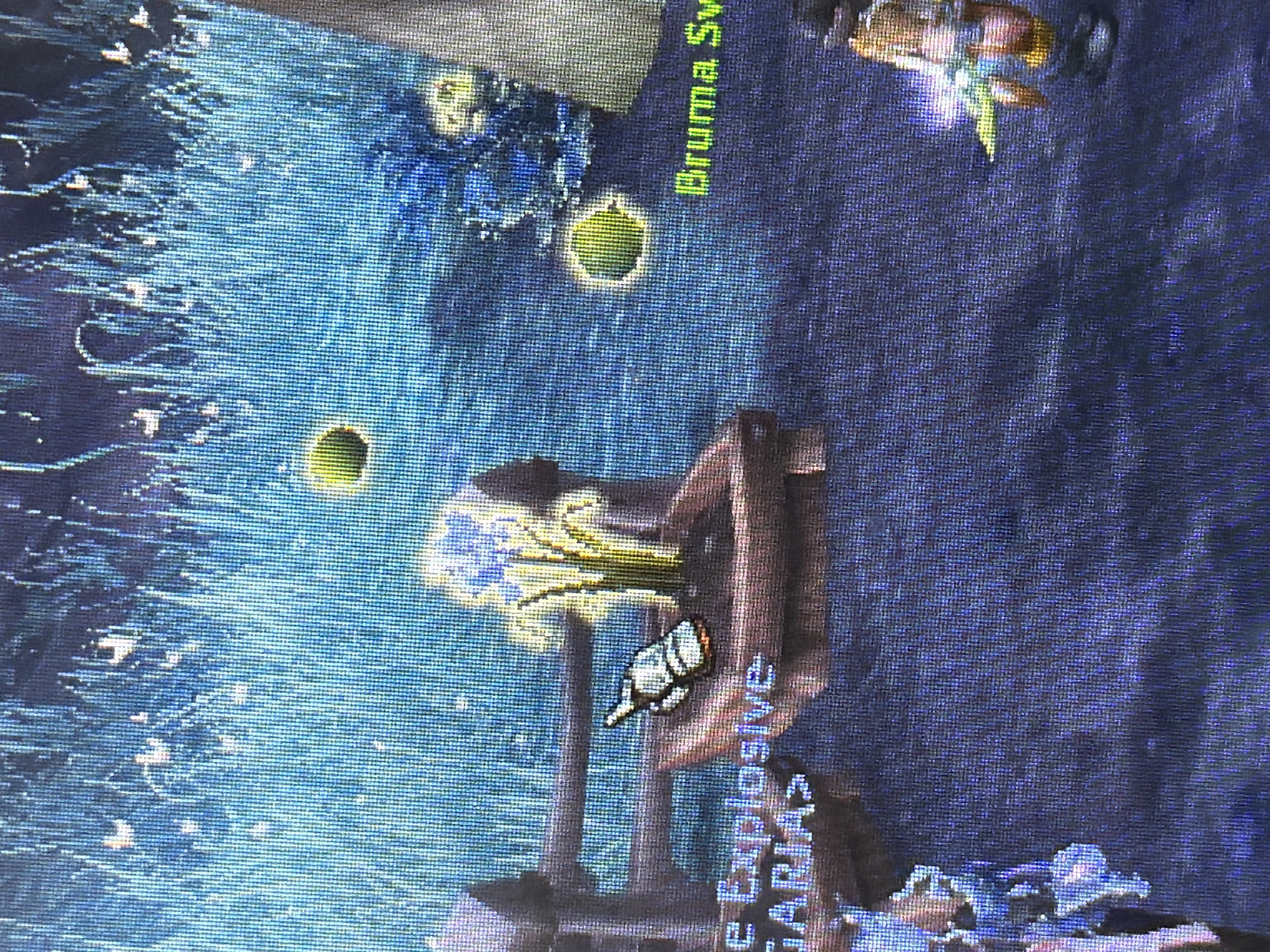 The image depicts a scene from a video game, likely a role-playing game or MMORPG. The environment is a stylized outdoor area with tall, blue-green grass and some wooden structures. In the foreground, there is a wooden planter box with a glowing, yellow-white flower. To the left of the planter is a small, white bottle with a red stopper. There are also some text overlays visible, including "Explosive" and "GARIA>" on the left, and "Bruma Sv" on the right. In the background, there are glowing orbs of light. The scene suggests a fantasy or magical setting. There is no discernible connection to the city of Plovdiv, Bulgaria, as the image is clearly from a digital game environment.