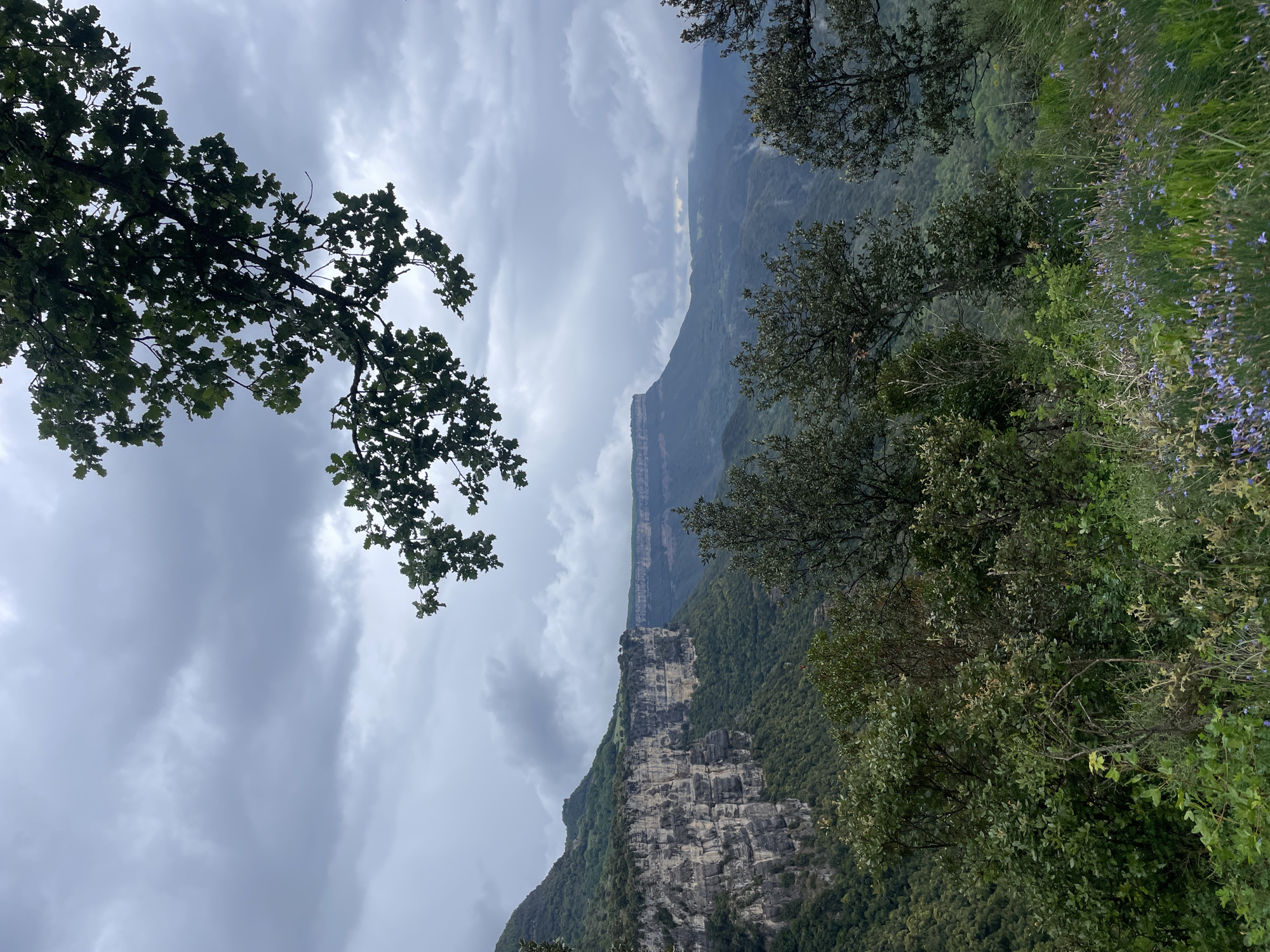 The image depicts a landscape in Rupit i Pruit, Spain. The scene features mountains and cliffs partially obscured by trees and vegetation. The sky is overcast with cloudy conditions. The foreground includes tree branches with green leaves. Blue flowers are visible in the upper-right portion of the frame. The overall composition captures a natural environment.
