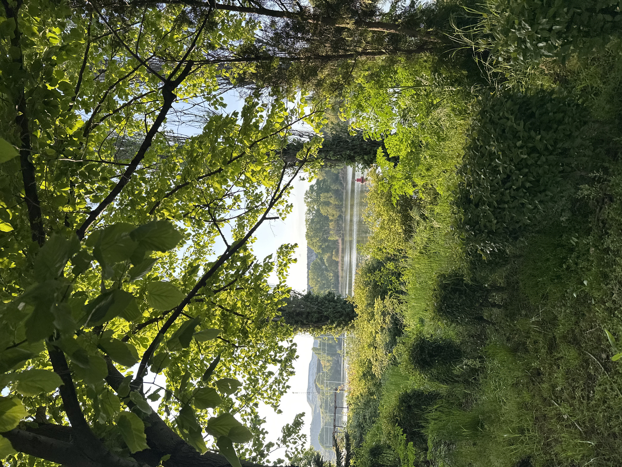 The image depicts a view through foliage towards a body of water, likely a lake or river, in Beloslav, Bulgaria. In the distance, there are hills and an industrial structure. A red object is seen floating on the water. Overgrown vegetation, including trees and bushes, frames the scene. Sunlight filters through the leaves.