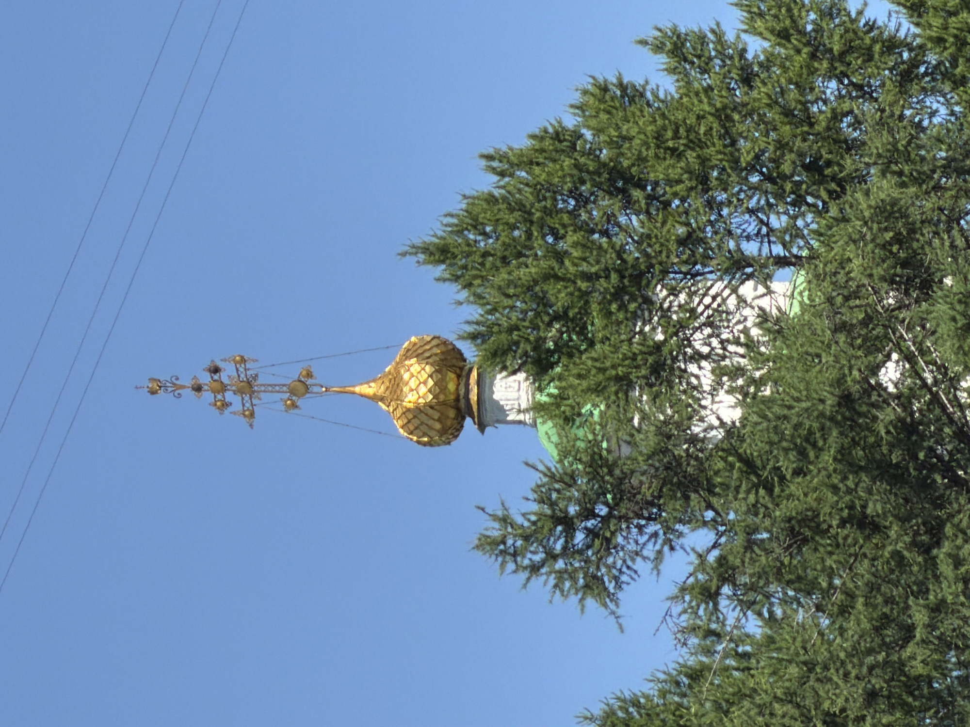 A gold-domed cupola with a cross on top is visible above a lush green canopy of trees. The cupola is elaborately decorated with a traditional Eastern Orthodox design. It is surmounted by a multi-tiered, gilded cross. The dome itself is golden and has a scalloped, textured surface, suggesting it is made of many small overlapping plates. Below the gold dome, a white cylindrical section with decorative molding is visible, topped by a green dome. The entire structure appears to be part of a church or monastery. The image is framed by dense evergreen trees in the foreground, with their branches and needles obscuring parts of the building. The background is a clear, bright blue sky, with three thin power lines stretching horizontally across the upper portion of the image. This scene is of the Church of the Icon of the Mother of God of All the Afflicted, Joy of All Who Sorrow, located in the city of Krasnoyarsk, Russia.
