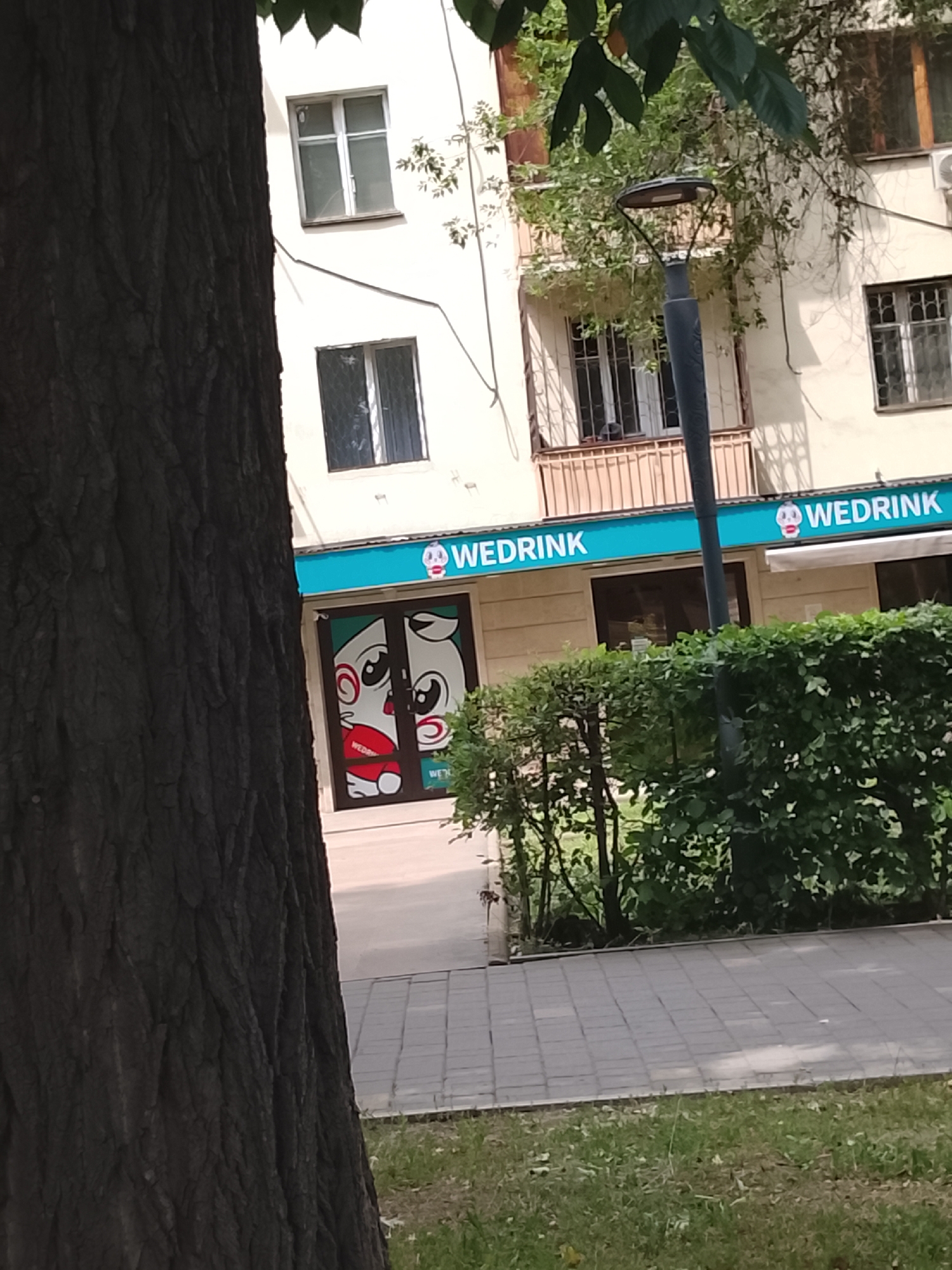 The image shows the storefront of a business named "WEDRINK" located in Almaty, Kazakhstan. The storefront features a blue awning with the "WEDRINK" logo and text. Below the awning are two glass doors with a cartoonish graphic of a face with large eyes and red lips. The building behind the storefront appears to be a multi-story residential or commercial building with windows and balconies. A large tree trunk is prominently positioned in the foreground, partially obscuring the view of the storefront. Lush green bushes and a paved walkway are also visible in front of the building. The overall scene depicts an urban environment on a sunny day.