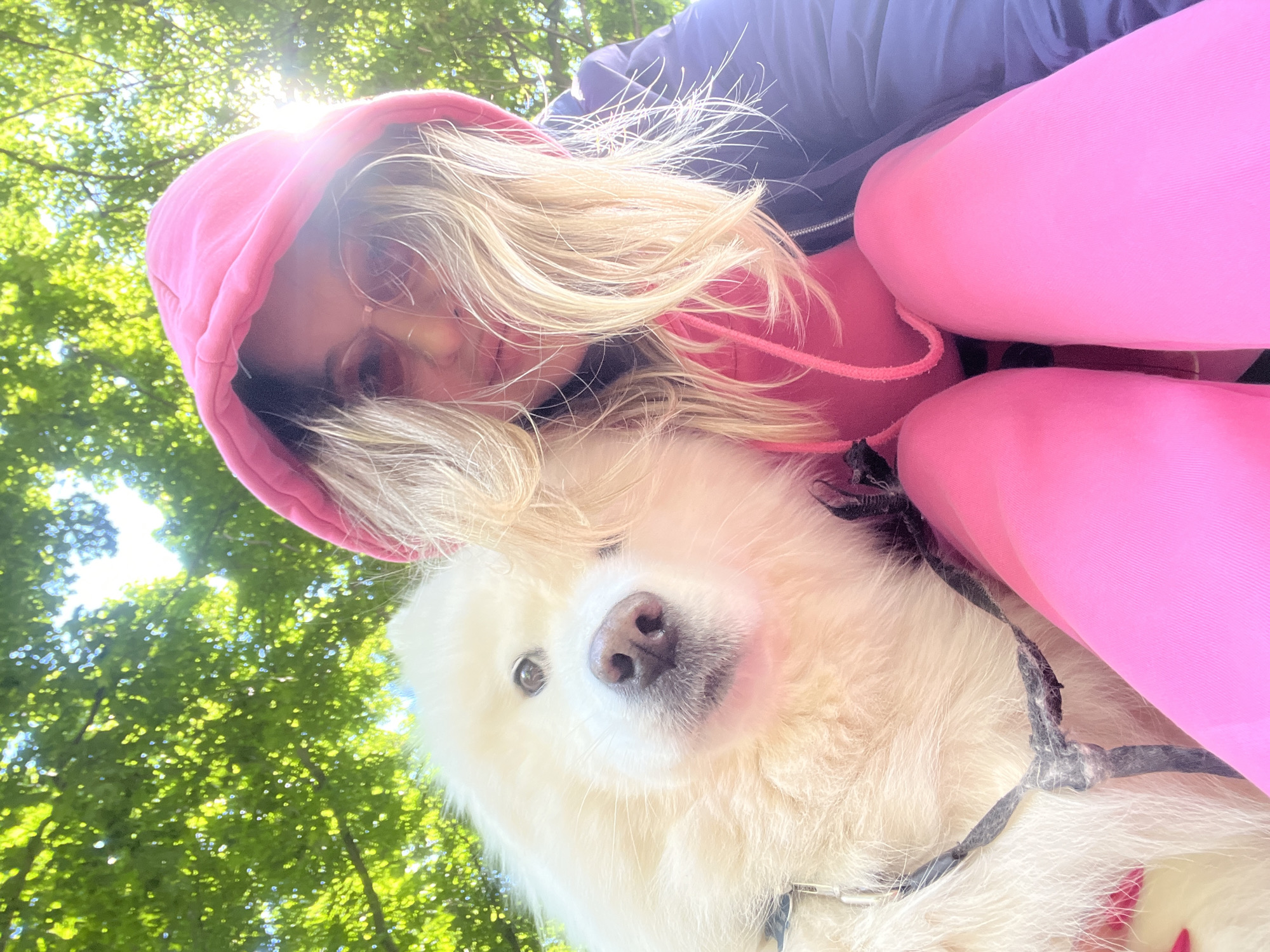 An extreme close-up selfie taken outdoors shows a white Samoyed dog and a person with blonde hair. The dog is positioned on the left of the frame, filling a large portion of the image with its fluffy white fur. Its nose and eyes are visible and in focus. To the right of the dog is the person, wearing a pink hoodie with the hood up, pink sunglasses, and bright pink leggings. The person's blonde hair is partially covering their face. They are also wearing a dark jacket. The background consists of bright green foliage and the sky, suggesting a sunny day in a natural setting. The scene appears to be a casual outdoor activity, possibly a walk in a park or a wooded area.