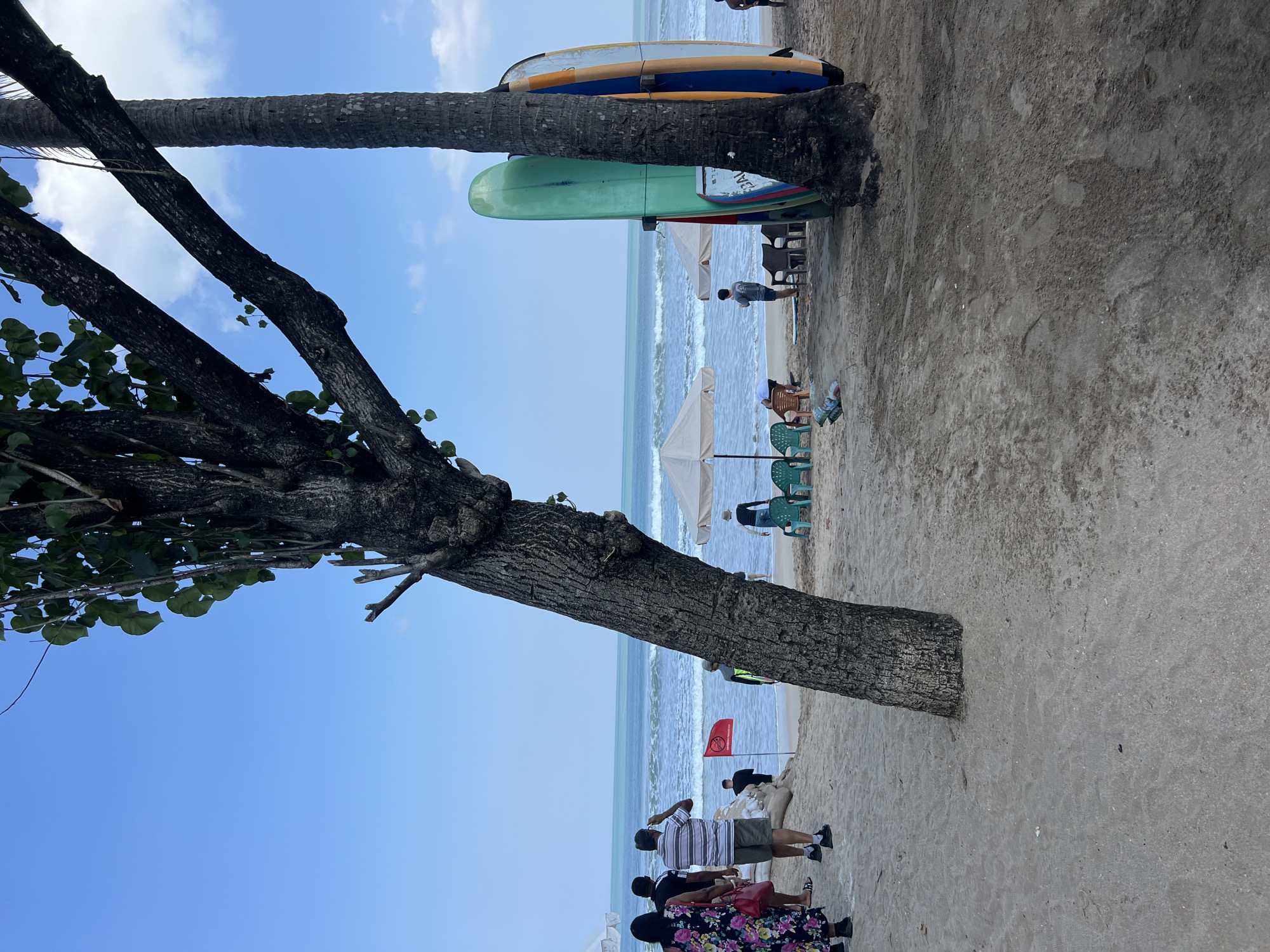 The image depicts a beach scene in Kuta, Indonesia, on a clear day with a bright blue sky. The foreground is dominated by a sandy beach with footprints and some scattered debris. In the mid-ground, there is a body of water with gentle waves. Several people are present on the beach, some walking, others appearing to observe the ocean.
A prominent tree trunk stands to the left of the frame, its branches extending upwards. To the right, a palm tree is visible, leaning slightly. Against the palm tree are several surfboards, leaning vertically.
Further back, there are beach umbrellas providing shade. One red flag, likely indicating a warning, is planted in the sand near the water's edge. Several beach chairs are scattered around the umbrellas. The overall atmosphere appears relaxed, with individuals enjoying the beach environment.