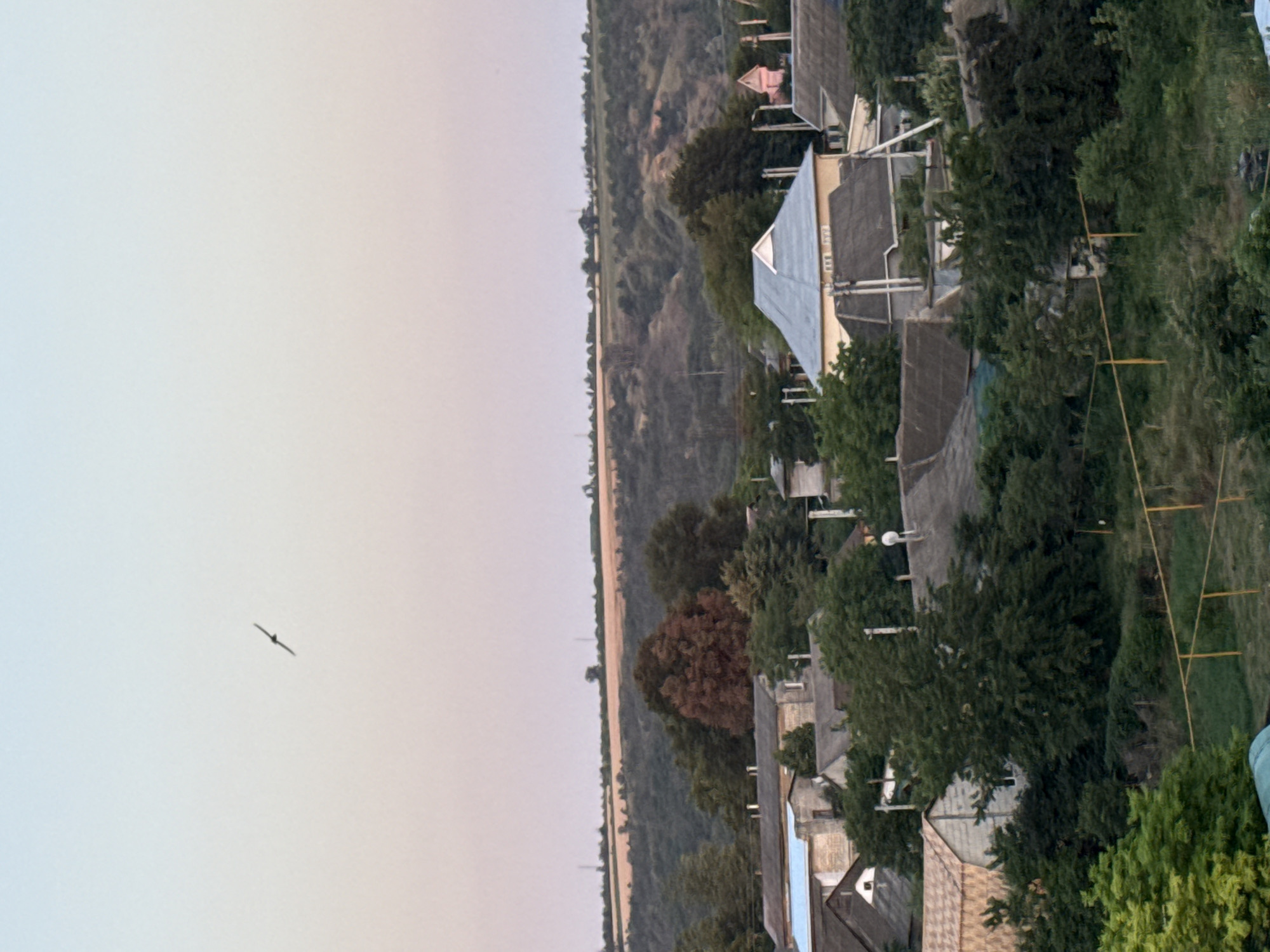 The image depicts a rural village scene under a pale sky with a gradient of soft pink to light blue hues, suggesting either dawn or dusk. In the upper portion of the sky, a single bird is captured in flight. The middle ground is dominated by a cluster of houses, characterized by diverse roofing materials and architectural styles, nestled amongst dense green foliage. A rolling landscape with trees and fields stretches towards the horizon, where a thin line of vegetation and what appear to be power lines are visible. The foreground shows the tops of trees and a yellow fence. The overall atmosphere is serene and indicative of a quiet rural setting, possibly in or around the city of Cahul, Moldova.