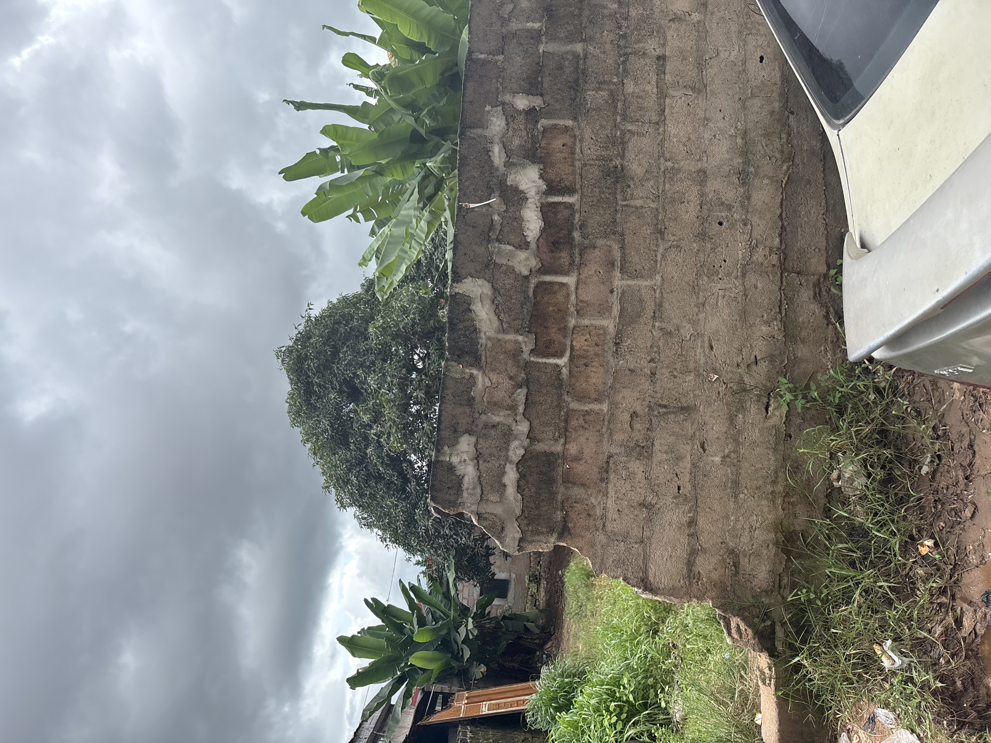 The image captures a scene on a cloudy day, likely in Nkpor, Nigeria. In the foreground, a light-colored car is parked, partially visible on the right side. A damaged brick wall dominates the center of the frame, with a section on the left appearing broken and crumbling. Behind the wall, lush green vegetation thrives, including tall banana trees on the left and a large, mature tree with dense foliage in the center-back. In the background, several modest buildings are visible, hinting at a residential or semi-developed area. The overall environment suggests an outdoor setting with a mix of natural and constructed elements, under an overcast sky.