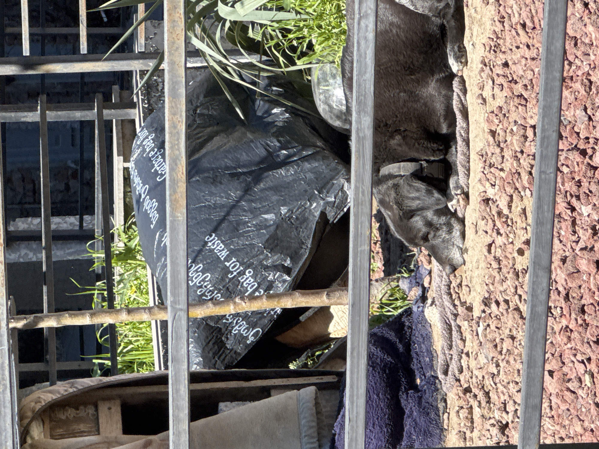 A medium-high angle shot of a metal balcony with a black dog lying down near a pile of garbage bags and other items. The image was taken on a sunny day in Tbilisi, Georgia.
The focus of the photo is the metal balcony, which has a metal frame with vertical and horizontal bars. In the background, there are multiple items, including black garbage bags labeled with "Garbage bag for waste," plants in a clear glass container, a piece of light beige cloth, a dark blue towel, and other unidentified objects.
A dark-colored dog with a collar is lying down next to the garbage bags. The dog's fur appears well-groomed, and its collar is visible. To the right of the dog is a pile of small red-brown stones.