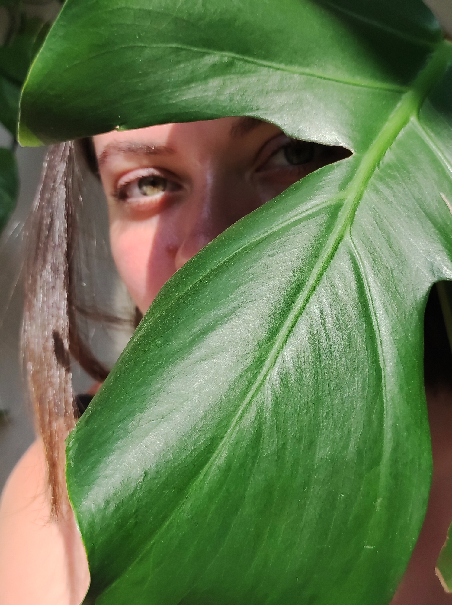 A person's face is partially obscured by a large, green, veined leaf. The person has light skin, brown hair, and light-colored eyes, and is positioned behind the leaf, with only their eyes, nose, and parts of their forehead and cheek visible. The leaf fills most of the frame. The image appears to be taken in natural light. It is impossible to infer the location as Chaikovsky, Russia based on the visible information.
