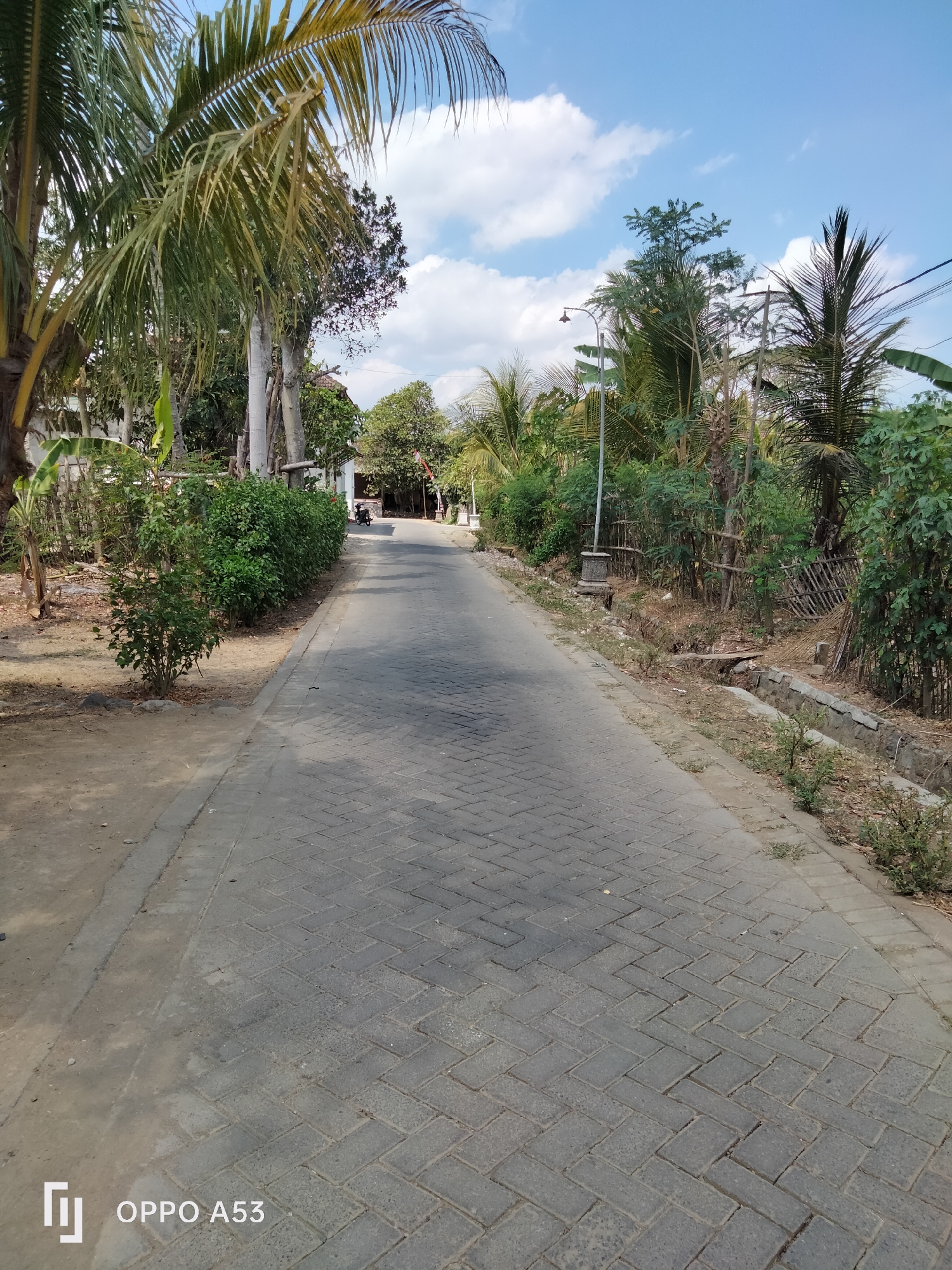 The image shows a paved road in Trenggalek, Indonesia, lined with trees and lush greenery. The road is paved with interlocking concrete blocks, laid in a herringbone pattern. On the left side of the road, there is a dry, sandy area with some sparse vegetation and a few rocks. Further down the road, there are houses and a motorcycle parked on the side. On the right side of the road, there is a drainage ditch with concrete lining and some overgrown plants. The sky is blue with scattered white clouds, indicating a clear day. A street light is visible on the right side of the road. The overall scene depicts a rural or semi-urban environment in Indonesia, characterized by its tropical vegetation and simple infrastructure.