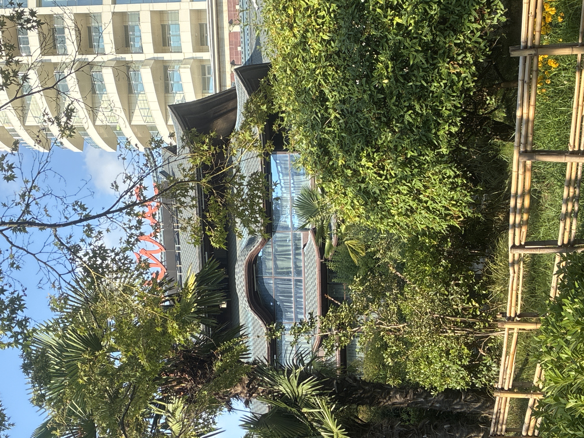 This image, captured on a bright, sunny day in Sochi, Russia, depicts a view of a building with distinct architectural features. The foreground is dominated by lush green foliage, including palm trees and dense bushes, and a light bamboo fence with visible bamboo poles and horizontal planks. Beyond the vegetation, a building with a curved, dark-tiled roof is visible. A large, arched window with blue-tinted glass is a prominent feature of this structure. Red lettering, partially obscured by tree branches, is mounted above the roofline. In the background, a tall, modern building with a cream-colored facade and multiple balconies can be seen. The sky is a clear, light blue with a few wispy clouds. The overall impression is of a well-maintained, possibly resort-like environment.