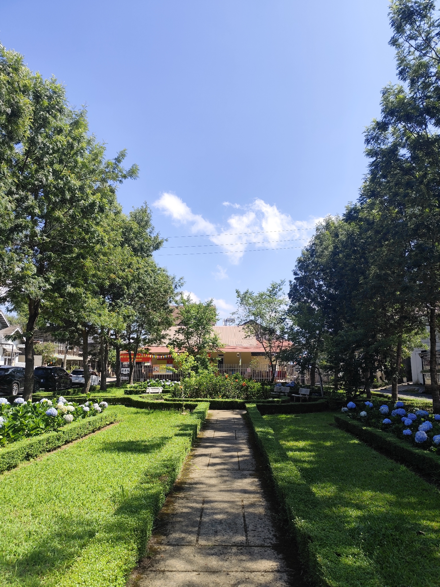 This image displays a sunny park or garden area in Lạc Dương, Vietnam, under a bright blue sky with a few scattered white clouds. A straight, paved pathway, made of light-colored stone slabs, extends from the foreground into the mid-ground, flanked by neatly trimmed green lawns and low, dark green hedges. Sunlight casts strong shadows across the path and grass, suggesting it's morning or early afternoon.
Along the edges of the manicured lawns, beds of blue and white hydrangea flowers are prominently displayed. Numerous tall, leafy green trees line both sides of the pathway, creating a verdant corridor and extending into the background.
Beyond the immediate garden space, various buildings with reddish-brown tiled roofs are visible. Several cars, including dark SUVs and a white sedan, are parked near these structures. Thin power lines are visible stretching across the clear sky in the upper mid-ground.
Visible text on signs and banners in the background includes "MỪNG," "ZUUMBA," and "CHÀO MỪNG" (meaning "Welcome" in Vietnamese). Another sign appears to have "19-20" on it. The scene conveys a sense of tranquility and order in a well-maintained public space. No people are visible.