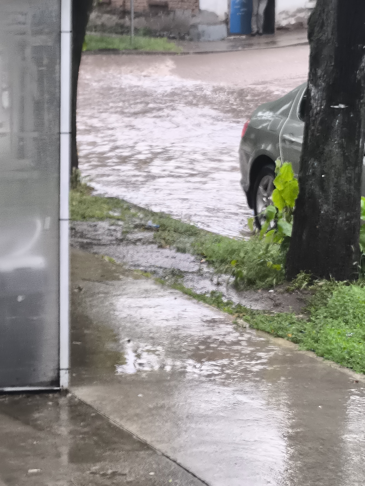 The image depicts a street scene in Trastenik, Bulgaria, experiencing significant flooding after heavy rainfall. In the immediate foreground on the left, a frosted glass or plastic panel, likely part of a bus stop shelter or similar structure, occupies a portion of the frame. A faint numeral "2" and other blurred markings are visible on its surface. The adjacent sidewalk is visibly wet and reflective, suggesting recent or ongoing precipitation.
A large, dark tree trunk stands prominently in the mid-ground on the right, with vibrant green foliage growing around its base. Partially visible behind the tree and extending into the flooded street is the rear section of a dark-colored car, possibly grey or green, with one of its back wheels discernible.
The street itself is largely submerged under a wide expanse of water, reflecting the overcast sky and showing ripples, indicating substantial flooding. In the blurred background, vague outlines of buildings and a blue barrel can be seen, suggesting an urban or semi-urban setting. The overall lighting is diffused, characteristic of an overcast day following a storm. The scene objectively portrays the impact of a significant rain event on a local street.