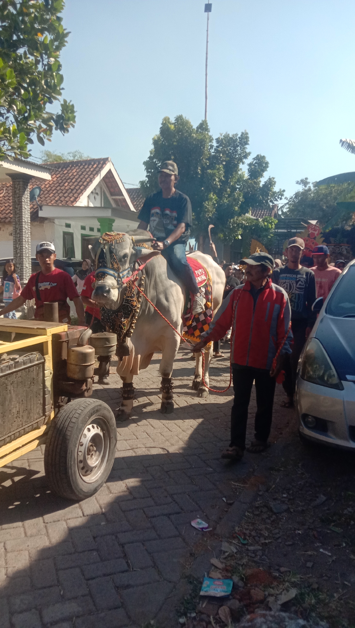 In the city of Ngempit, Indonesia, a bright, sunny day unfolds with a procession. At the center of the scene, a decorated bull stands prominently, adorned with a colorful blanket and intricate ornaments. A man, wearing a black t-shirt and a cap, rides atop the bull. He is holding the reins, guiding the animal. Beside the bull, a man in a red and gray jacket, also wearing a cap, walks and holds a rope attached to the bull.

Several other individuals are present, observing the spectacle. To the left, a man in a red shirt and a white cap stands next to a yellow piece of machinery with a large tire. In the background, a woman and a child are visible, along with other people standing and watching. Houses with tiled roofs and lush green trees form the backdrop, suggesting a residential area. A tall pole with a small antenna-like object at its top extends into the clear blue sky. The ground is paved with bricks, and a silver car is parked to the right of the scene. The overall atmosphere appears to be festive, possibly indicating a local celebration or event.