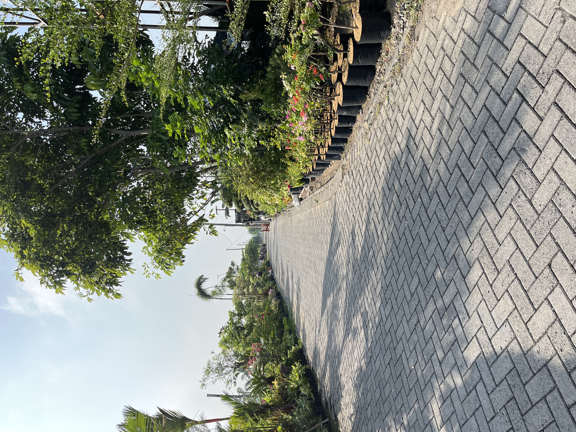 The image depicts a paved pathway in the city of Kalitengah, Indonesia, lined with various potted plants and trees. The pathway is constructed from interlocking gray pavers laid in a herringbone pattern. On the left side of the pathway, numerous potted plants with lush green foliage and some flowering plants in shades of pink and red are arranged. Further down the pathway, more trees and foliage are visible. On the right side, a row of potted flowering plants, predominantly in pink and red hues, are lined up along the edge of the path. The pathway extends into the distance, where a few people and motorcycles are faintly visible, suggesting a marketplace or nursery setting. The environment appears to be outdoors, with a clear sky and shadows cast by the trees and plants onto the paved surface, indicating a sunny day.