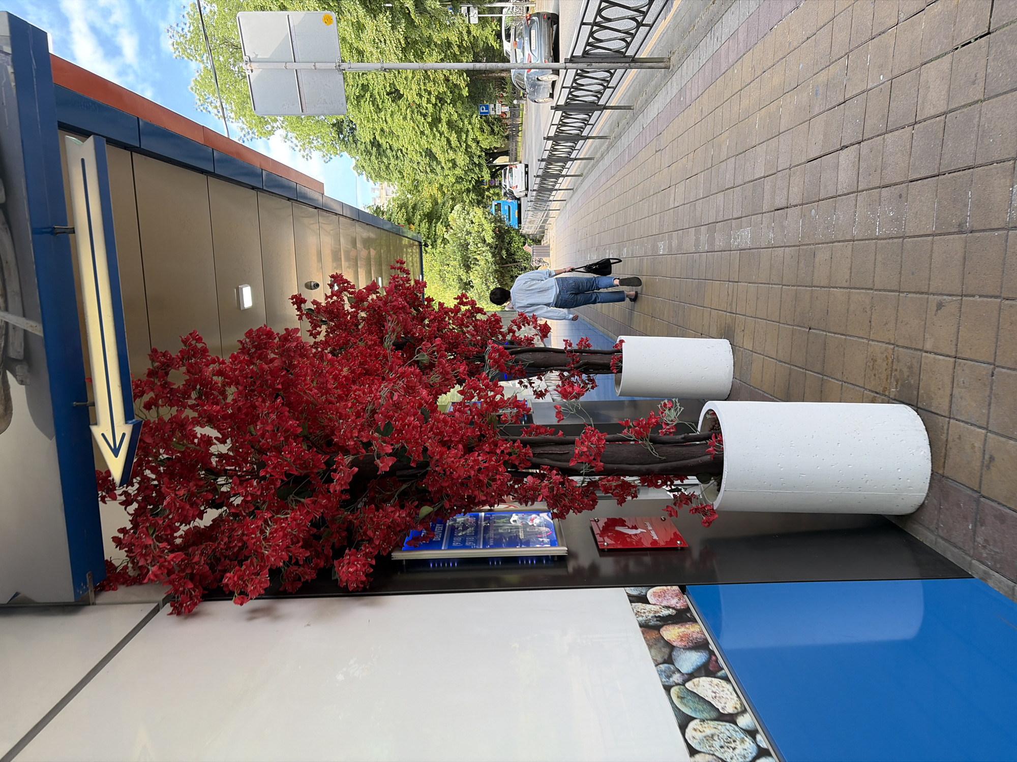 The image depicts a sidewalk scene in Sochi, Russia. Two artificial trees with vibrant red flowers are prominently displayed in white cylindrical planters at the entrance to a building. A person, viewed from behind, walks away from the camera along the tiled sidewalk. The person is wearing a light blue long-sleeved shirt and blue jeans, carrying a black bag in their right hand. In the background, a street is visible with cars driving, and lush green trees line the road. A metal fence separates the sidewalk from the street. A traffic sign for parking is also visible. The building's facade is white with a decorative border of colorful stones. A blue and white arrow sign is mounted above the entrance.
