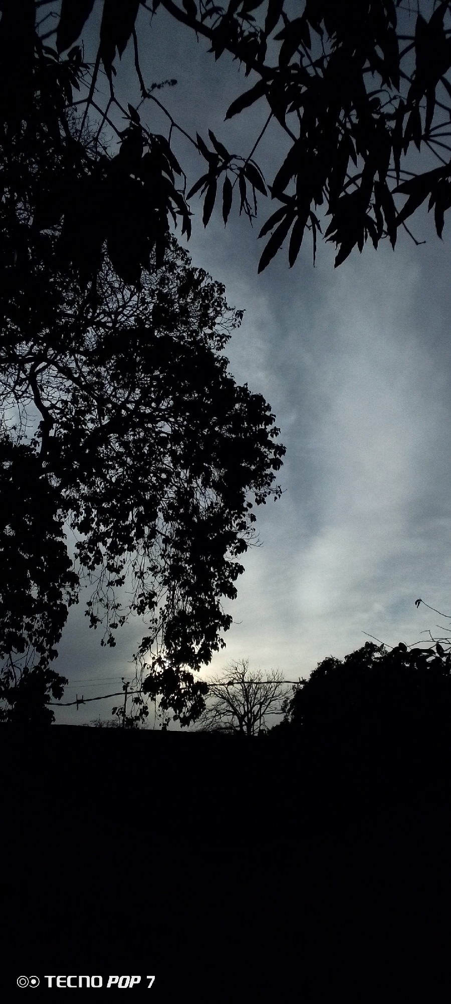 The image shows a low-angle view looking up into the sky. Silhouetted tree branches and leaves dominate the top and left portions of the frame. The sky is a mix of gray and white, possibly indicating clouds. In the distance, silhouetted trees and a horizon line are visible. Overhead power lines with birds are also visible in the distance. The foreground is entirely dark. "TECNO POP 7" is printed on the bottom left corner of the image. Altagracia, Venezuela is not explicitly identified in the image.