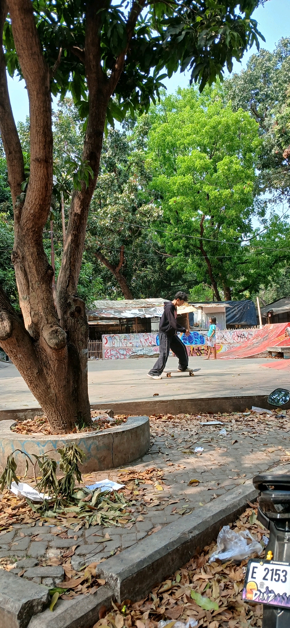 In Cirebon, Indonesia, a young person is seen skateboarding on a paved area, likely part of a park or public space, near a series of makeshift stalls adorned with graffiti. A large tree with a rough, textured trunk stands prominently to the left, its branches casting shadows. The ground is covered in dry, fallen leaves, suggesting a dry season. In the background, lush green trees create a dense canopy, with a bright blue sky peeking through. Another child stands near a red ramp, possibly part of a skate park setup. A motorcycle with a license plate reading "E 2153" is partially visible in the foreground, adding to the urban setting. The overall atmosphere appears to be casual and recreational.