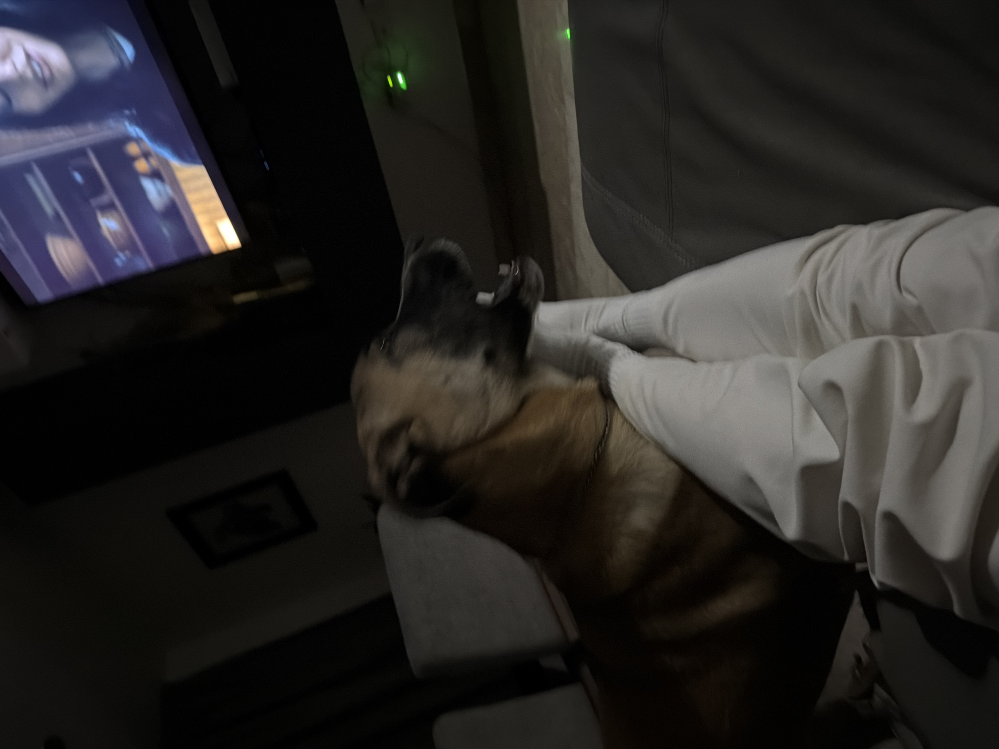A dog with brown fur is lying on a white sheet or blanket next to a person on a sofa. A television is playing in the background, displaying a woman's face. A picture frame hangs on the wall in the dark background. The photograph was likely taken indoors, possibly in Santa Clara Ocoyucan, Mexico, though there is not enough information to confirm that location.