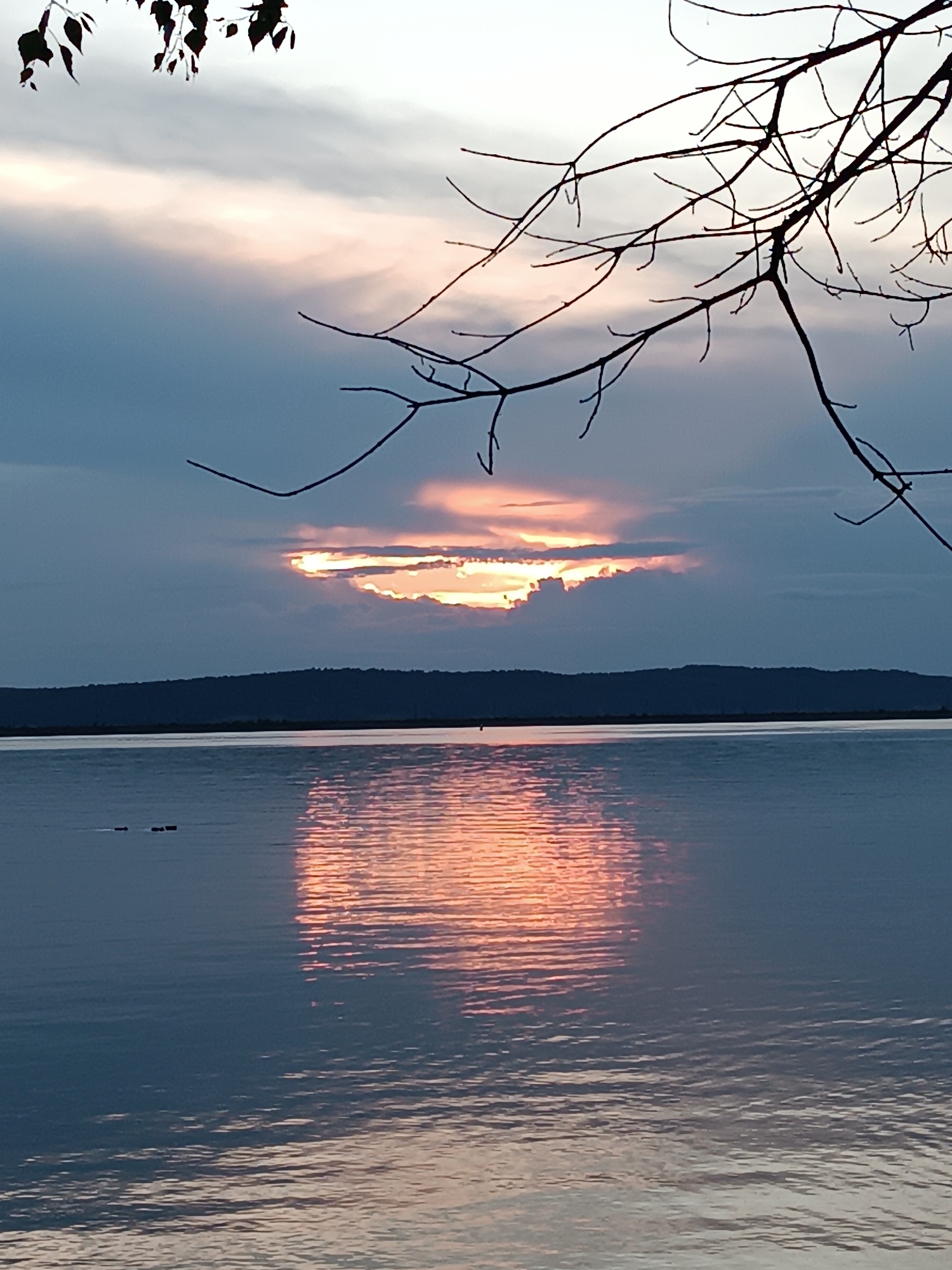 The image captures a serene sunset over the Kama River in Chaikovsky, Russia. Silhouetted against a sky painted with hues of pink, orange, and gray clouds, bare tree branches frame the top of the composition. The water's surface reflects the warm glow of the setting sun, creating a shimmering pathway of light. In the distance, the dark outline of a tree-covered hill stretches across the horizon. The scene is quiet and tranquil, with no visible human activity or man-made structures, except for what appear to be three small, dark objects floating on the water in the lower left quadrant, possibly buoys or debris. The overall impression is one of natural beauty and peacefulness at dusk.