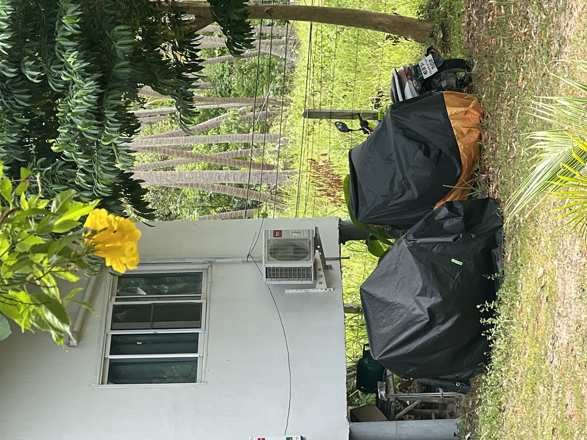In an outdoor, rural setting, a white stilted building is visible with a sliding window and an air conditioning unit mounted on the exterior wall. In front of the building, two vehicles are covered with black tarps. The vehicle on the right has a visible license plate with Thai characters and the number "502". A motorcycle handlebar is also visible. The environment is overgrown with grass and palm trees, suggesting a tropical or subtropical climate. Yellow flowers hang from a tree branch in the foreground, partially obscuring the view of the building. A fence runs along the middle ground.