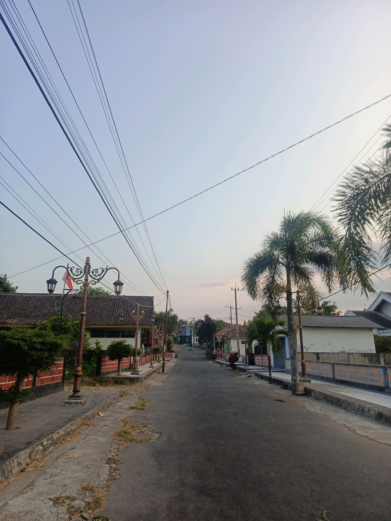The image depicts a street scene in the city of Nitikan, Indonesia, likely during early morning or late afternoon given the soft, diffused light. The perspective is from a street-level view, looking down a paved road lined with buildings and vegetation.
On the left side of the road, there is a building with a tiled roof, a red brick wall, and a green shrub. A decorative lamppost with two lights stands prominently in front of this building, and a small Indonesian flag is attached to it. Further down the street, more lampposts and trees are visible along the sidewalk.
On the right side of the road, there are several single-story buildings with white walls and tiled roofs. A tall palm tree stands near one of these buildings, and another palm tree is visible in the background. A low wall with alternating orange and white blocks runs along the front of some of the buildings.
The road itself is asphalt and appears to be in moderate condition, with some cracks and patches of dry grass growing along the edges. Overhead, a complex network of power lines crisscrosses the sky. The sky is a pale blue with hints of pink or orange near the horizon, suggesting either sunrise or sunset. There are no people visible in the image.