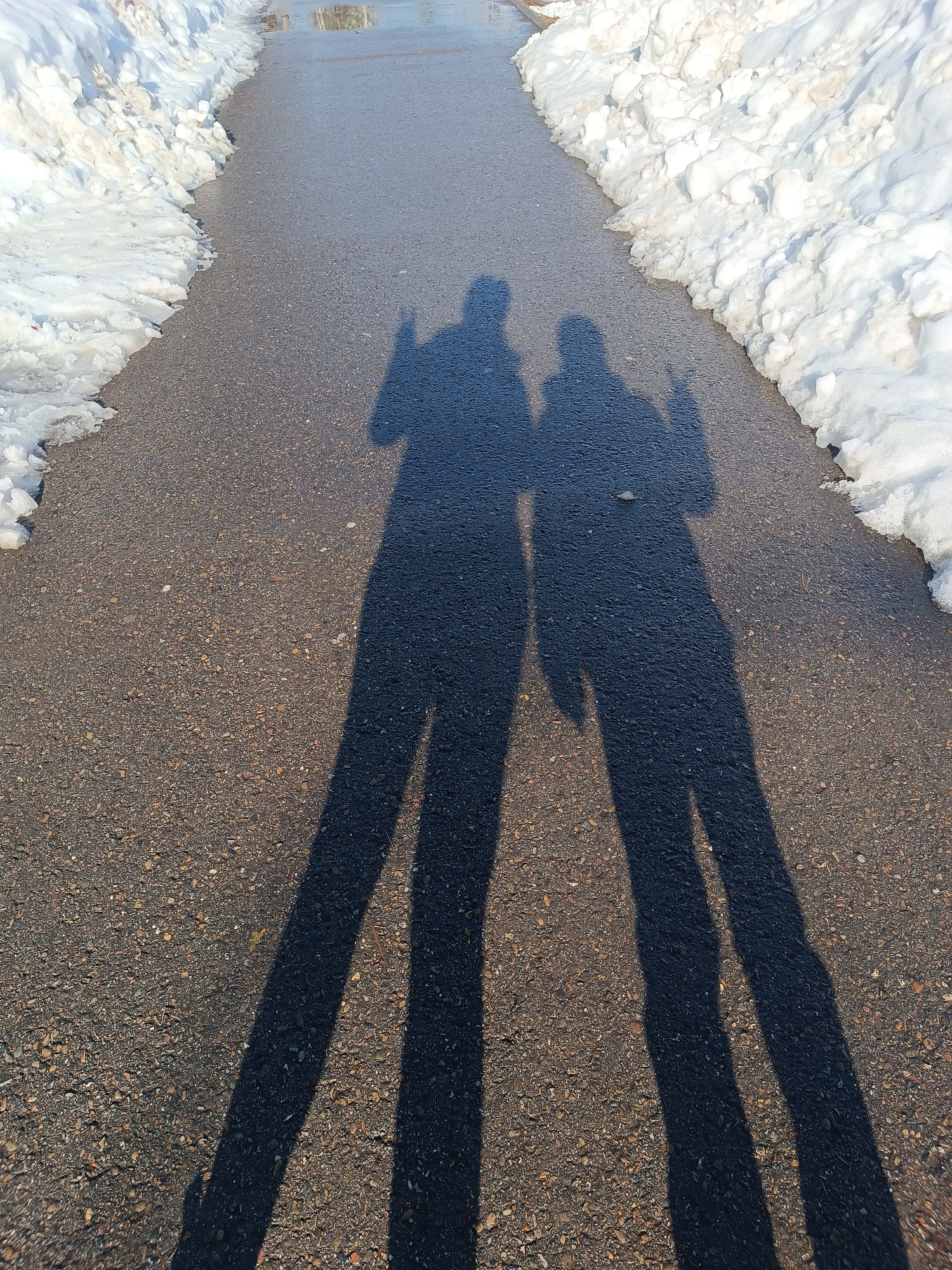 A ground-level shot shows a narrow, paved path flanked by melting snow on either side. The shadows of two individuals stretch across the path, indicating they are standing in the direction of the camera. Both shadows appear to be holding up a single finger. The location is Chaikovsky, Russia.