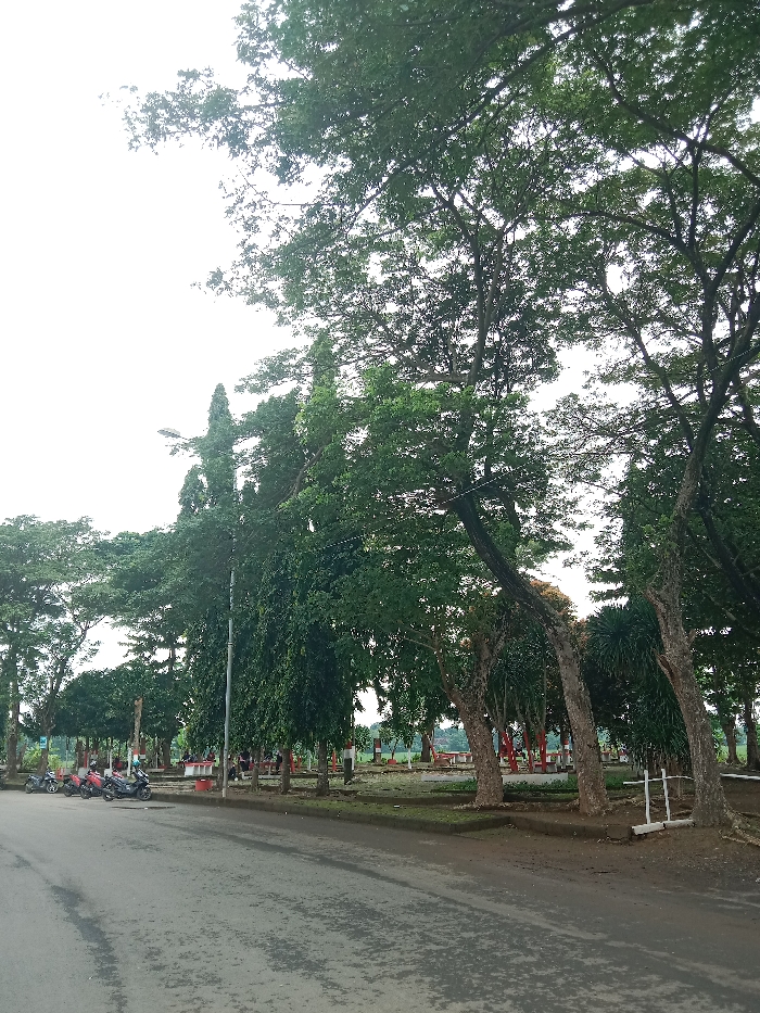 A wet asphalt road stretches into the distance alongside a park. Lush trees tower over the park, casting shadows on the benches and picnic tables. Red and white painted posts line the park's edge. Several parked motorcycles are visible near the road. The sky appears overcast, contributing to the somewhat muted tones of the scene.