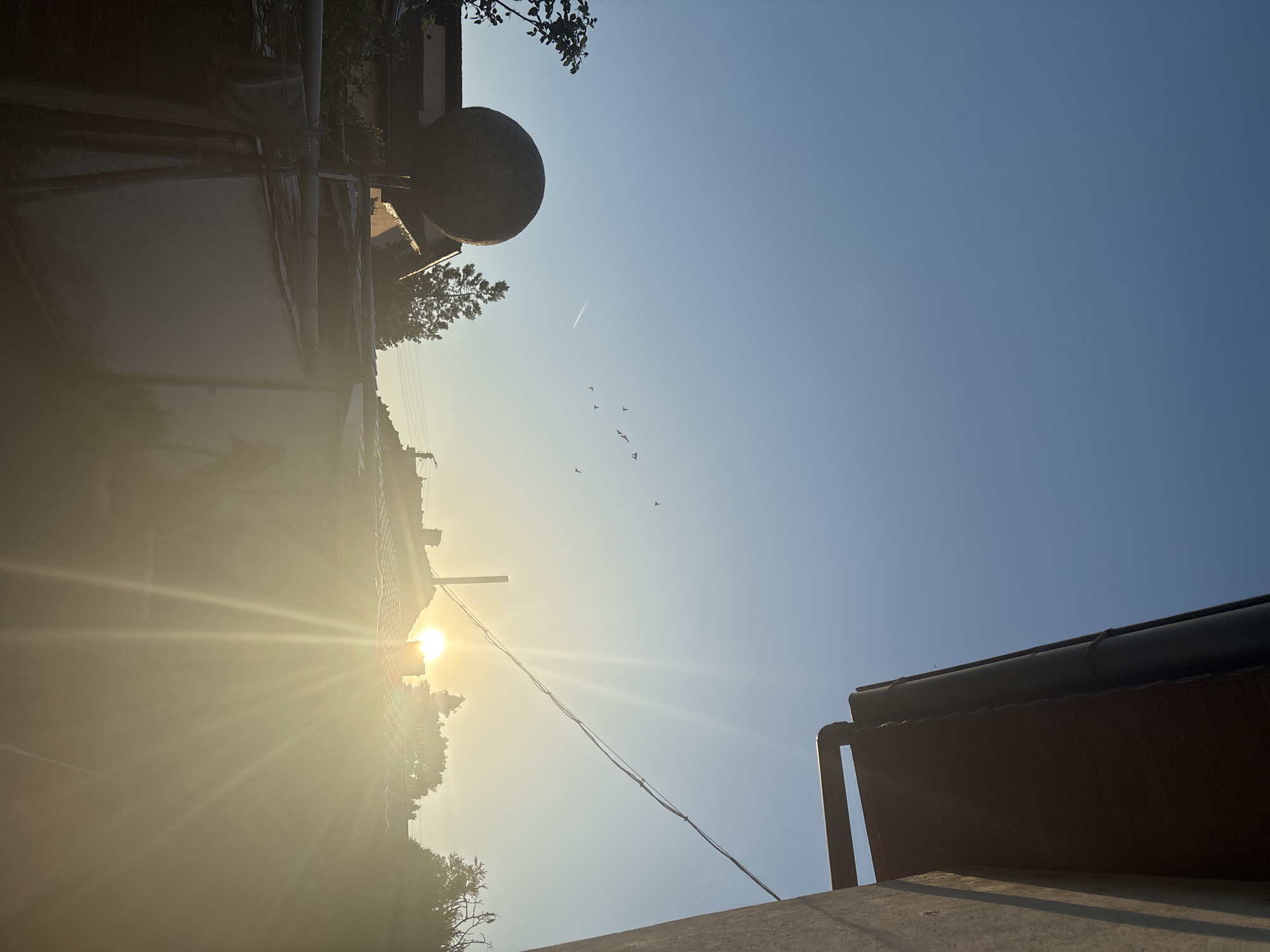 The image depicts a cityscape in Lom, Bulgaria, under a bright, sunny sky. The sun is positioned near the center of the frame, obscured by buildings and foliage, creating a strong glare with prominent sunbeams. Buildings with rooftops and possible satellite dishes are visible on the left and right sides of the frame. Overhead powerlines stretch across the sky. A group of birds is flying high in the sky. A contrail from an airplane can also be seen.