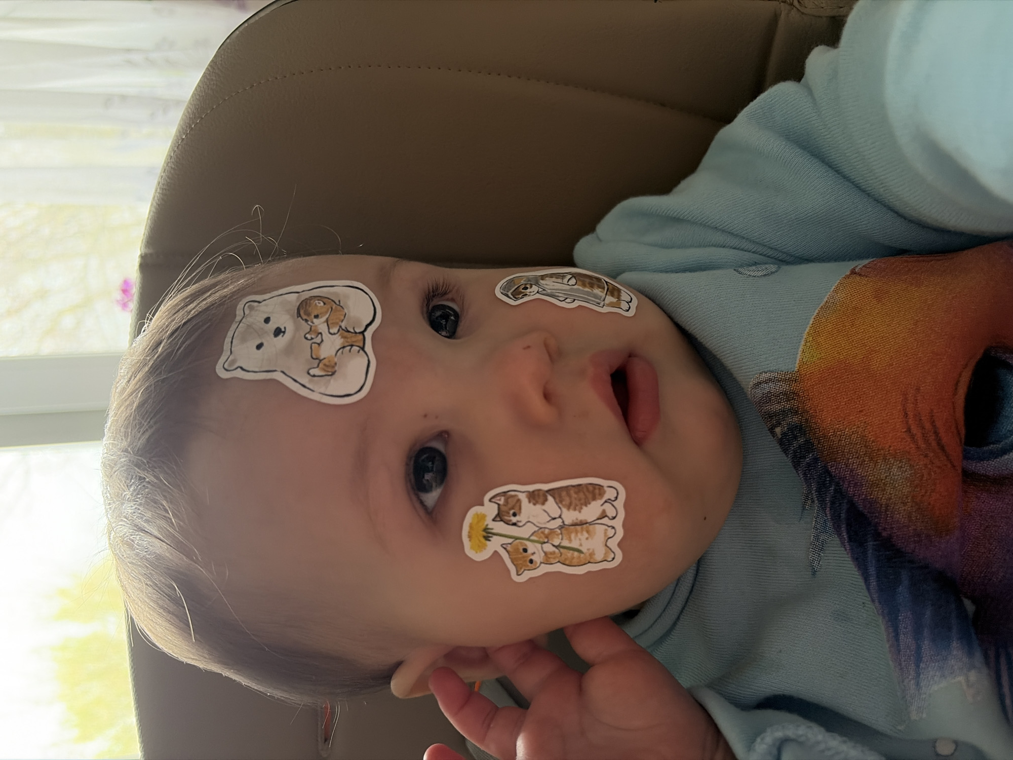A baby with stickers on their face is lying down. The stickers depict various animals, including cats, a bear, and a dog. The baby is wearing a light blue shirt with a colorful design. The background includes a beige chair and a window with light-colored curtains. The location is not discernible from the image.