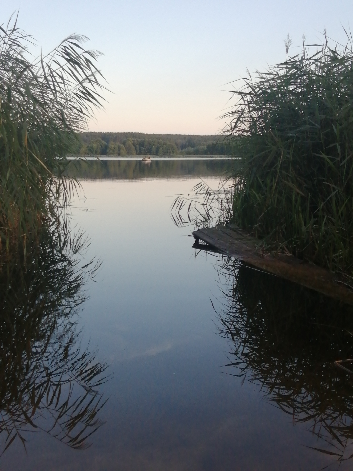 The image shows a tranquil lake scene at dusk, framed by tall reeds on either side. In the distance, a dense line of trees forms the horizon. A small, light-colored boat with two visible occupants is positioned on the water. In the foreground, a weathered wooden plank extends from the shore into the water on the right side of the frame. The surface of the lake is calm, reflecting the sky and the surrounding vegetation. The overall atmosphere is serene and peaceful. The location is the Shchara River in Slonim, Belarus.