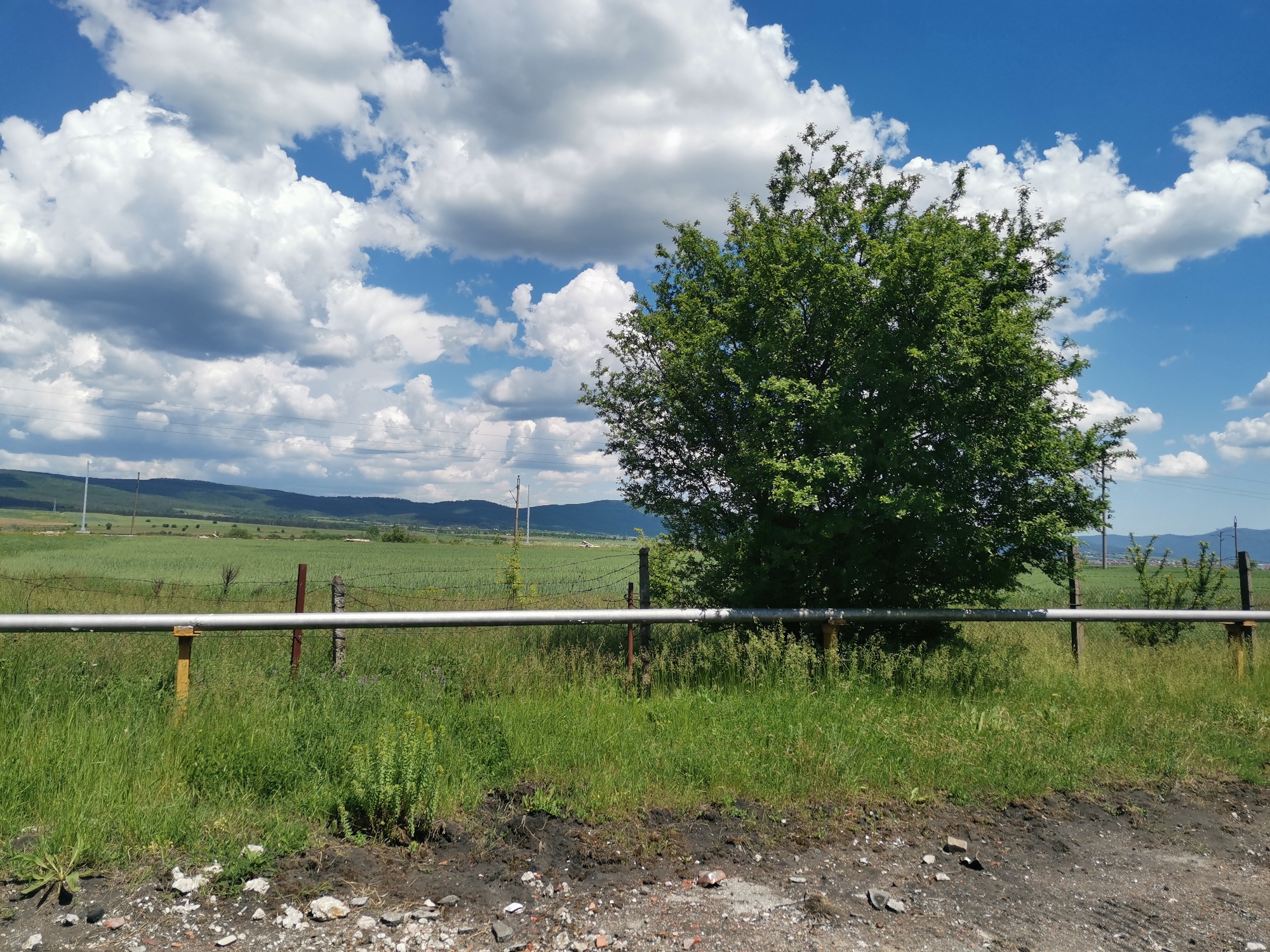 The image depicts a rural scene near Zhivkovo, Bulgaria. In the foreground, there's a roadside area with gravel and loose debris. A metal guardrail, supported by vertical posts, runs horizontally across the middle ground. Behind the guardrail, there's a grassy field with a barbed-wire fence. A large, leafy tree dominates the right side of the image. In the background, rolling hills and mountains are visible under a bright blue sky with fluffy white clouds. Electrical power lines stretch across the horizon.