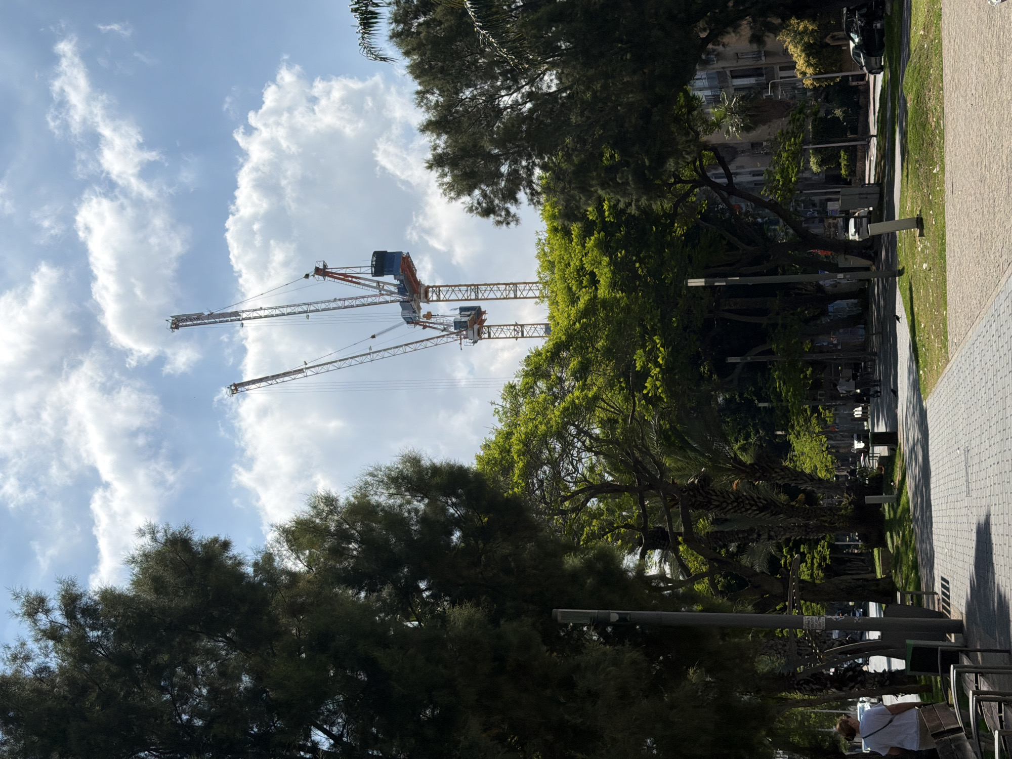 Two construction cranes are visible in the sky above Bat Yam, Israel. The cranes are adjacent to trees and buildings. One person is sitting on a park bench adjacent to a paved path. A street with parked cars is visible through the trees. The sky is blue with white clouds.