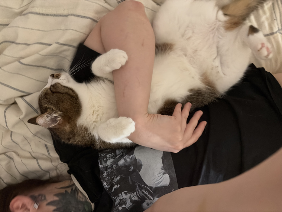 The image depicts an indoor scene in Chaikovsky, Russia, featuring a person and a domestic cat in close physical contact. The upper torso, right arm, and a portion of the left side of a person's head are visible. The person wears a black t-shirt with a monochrome graphic print depicting a crowd and a prominent smiling man in a white t-shirt, identifiable as actor Paul Walker. A dark, possibly floral, tattoo covers part of the person's left neck and shoulder, and an earring is visible on the left ear. The person's bare right arm, exhibiting several faint linear marks consistent with scratches, cradles the cat. The cat, with its eyes closed and head tilted upwards, is primarily white on its chest, belly, and paws, with brown and tabby markings on its back, head, and tail. Long white whiskers are prominent. The background consists of a light-colored, vertically striped fabric, consistent with bedding.