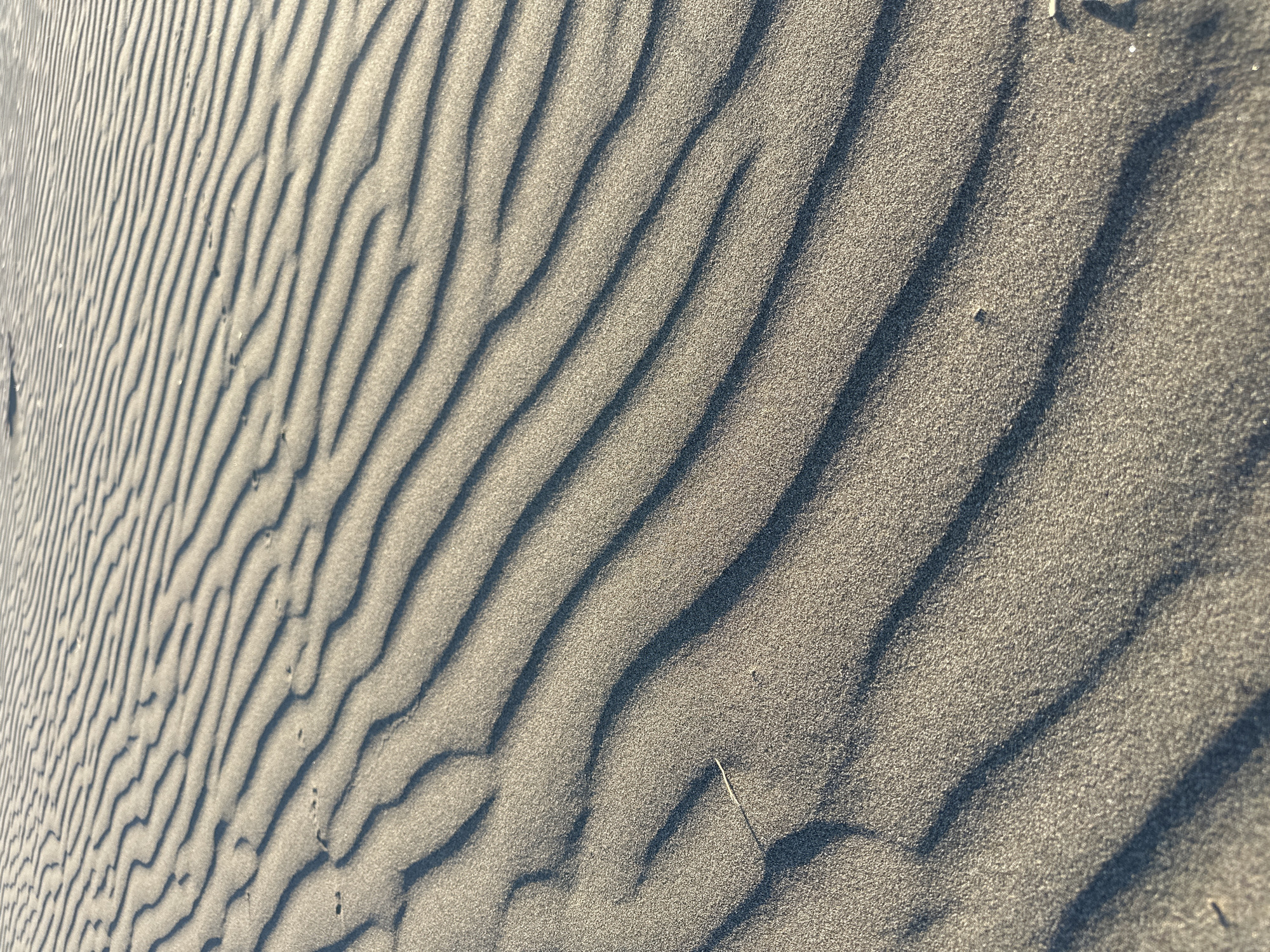 The image is a close-up, high-angle shot of rippled sand dunes. The sand is a muted gray-brown, and the ripples are formed by the wind, creating alternating lines of light and shadow. The shadows are elongated and cast by the crests of the dunes, accentuating the texture and undulation of the sand. A single thin, dry piece of vegetation lies horizontally across some of the ripples in the foreground. The overall impression is one of natural, abstract beauty, likely a coastal environment. The context of Donji Štoj, Montenegro, suggests this scene is from a beach or coastal dune area.