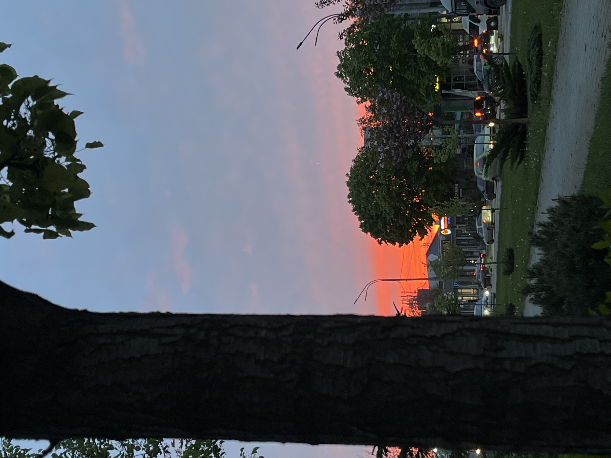 The image, taken in Krasnodar, Russia, captures a street scene during either sunrise or sunset. It is presented as if rotated 90 degrees clockwise, with the sky on the left and the ground/street on the right.
The left side of the frame is dominated by a gradient sky, transitioning from a soft light blue at the top to a vibrant orange and red nearer the horizon on the right. A large, dark tree trunk with visible bark textures stretches horizontally across the lower middle of the image, acting as a foreground element. Above it, dark green leaves from another tree are silhouetted against the sky on the far left.
On the right side, beyond the tree trunk, lies a street with various activities. Numerous trees and bushes with dark foliage line the street. Several vehicles, including cars and a white van or truck, are visible on the road, with some headlights and taillights illuminated, indicating low light conditions. In the background, buildings with illuminated windows and signs can be seen behind the trees and vehicles. Multiple streetlights are also visible, some casting light. Notably, two small, faint, pink-purple glowing blurs appear in the upper sky area, possibly lens flares or distant light sources.
The activity depicted is an ordinary moment on a city street during twilight, with vehicles moving and artificial lights beginning to stand out against the dramatic natural sky colors. The distinct orange and red hues of the sky clearly mark the time of day as either dawn or dusk. No decipherable text is visible on any signs or objects in the image.