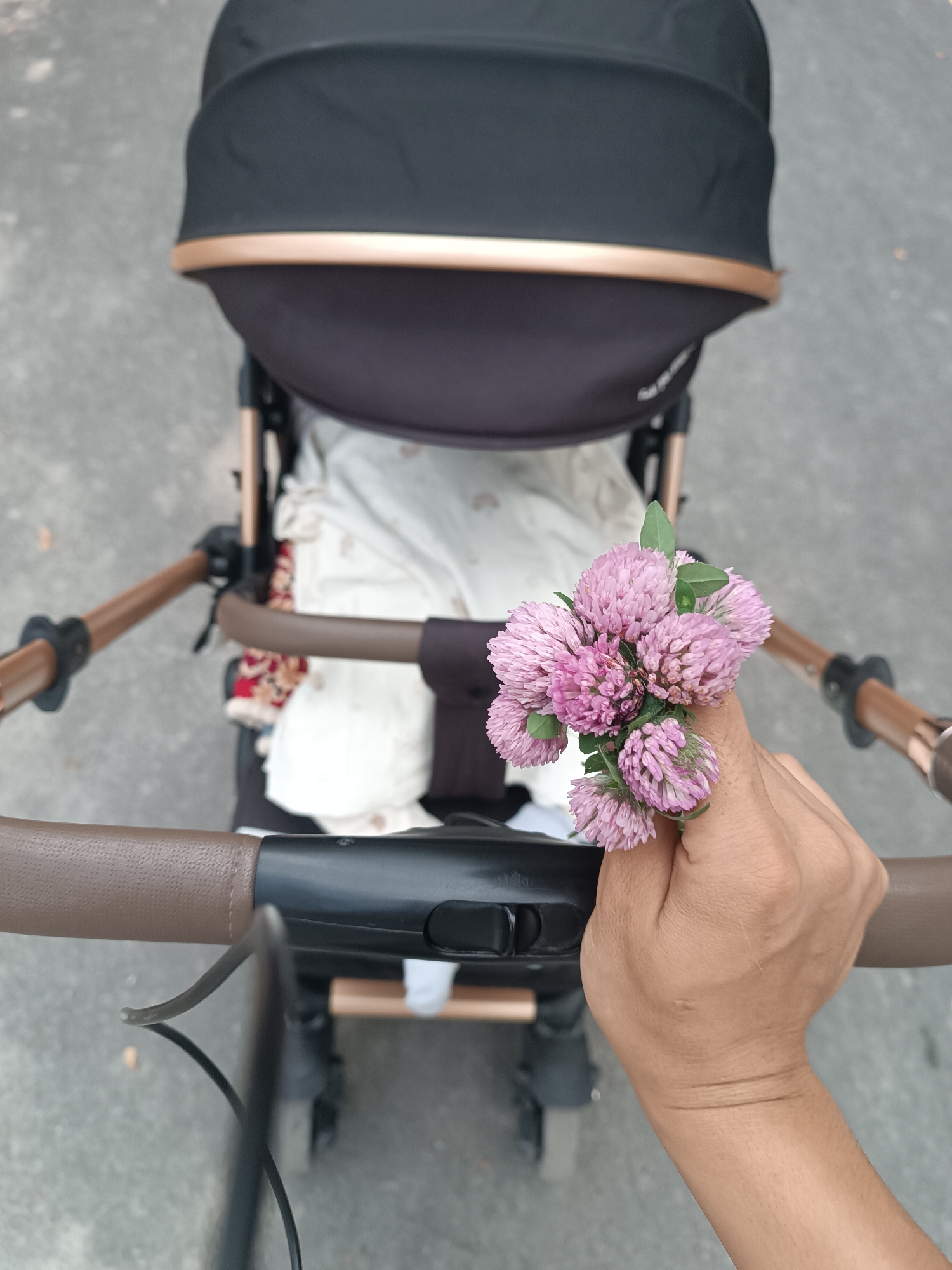 The image shows a close-up, overhead view of a person's hand holding a small bunch of pink clover flowers. The hand is positioned in front of a stroller, obscuring part of its handle. The stroller is dark gray with rose gold accents on the canopy and frame. The background appears to be a paved surface, possibly a sidewalk or street, in an outdoor urban setting. The image does not contain enough visual information to determine the specific location within Bishkek City, Kyrgyzstan.