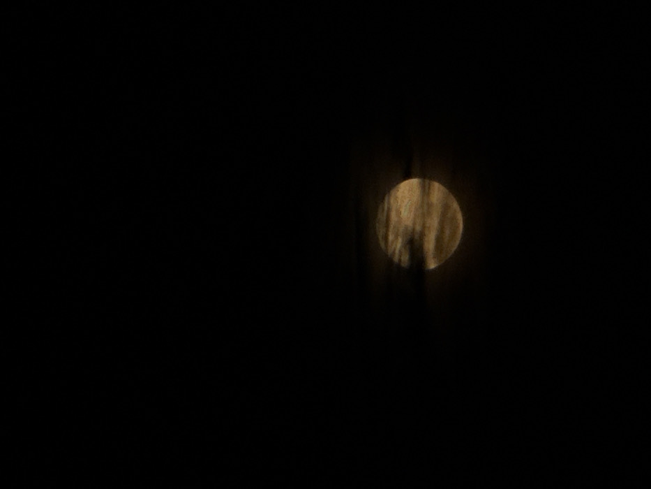 Against a stark black background, a slightly out-of-focus moon dominates the right side of the frame. The moon appears yellowish, with blurred surface details. Dark, vertical streaks or shadows obscure a portion of the moon, possibly indicating branches or foliage in the foreground. The scene evokes a nighttime atmosphere with a sense of mystery.