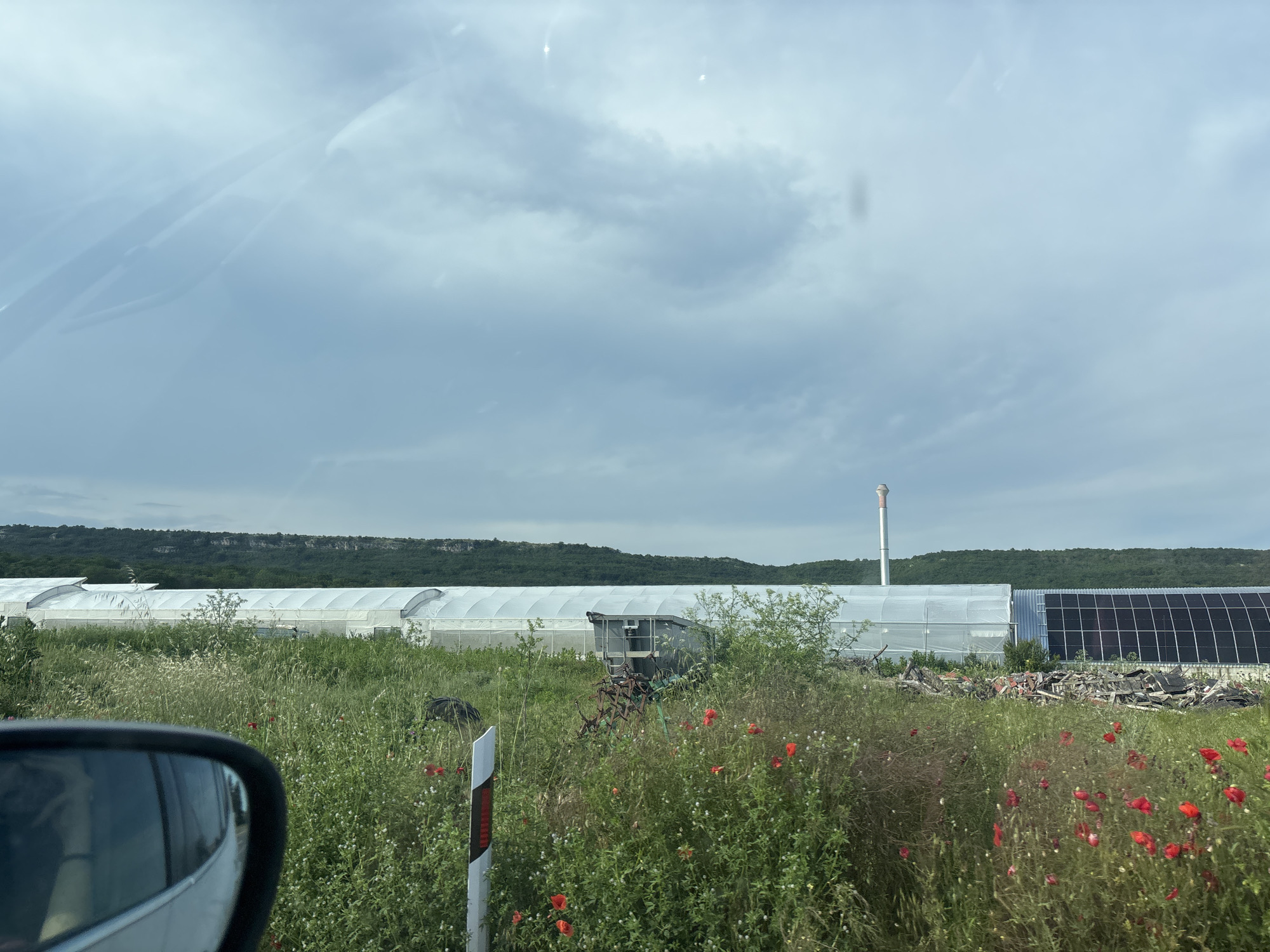 The image displays an overcast agricultural and natural landscape near Tsarkva, Bulgaria, viewed from a vehicle. In the lower-left foreground, a white car's side mirror partially obstructs the view. The immediate foreground features a dense, overgrown field with tall green grasses, various wildflowers, and numerous scattered red poppies. A white and red reflective road marker is positioned vertically in the lower-center. Partially hidden within the dense vegetation are elements of discarded agricultural machinery, including a rusty, harrow-like implement, and dark, possibly tarp-covered objects, alongside piles of construction debris comprising wood and tiles. The midground is dominated by a long series of white, semi-circular tunnel greenhouses. To the far right of the greenhouses, a structure fitted with dark solar panels is present, adjacent to a tall, slender, silver-colored industrial chimney. The background consists of a continuous, dark green, forested ridge or low mountain range, situated beneath a light grey, heavily clouded sky that exhibits faint internal reflections from the viewing window. No individuals or active subjects are visible.